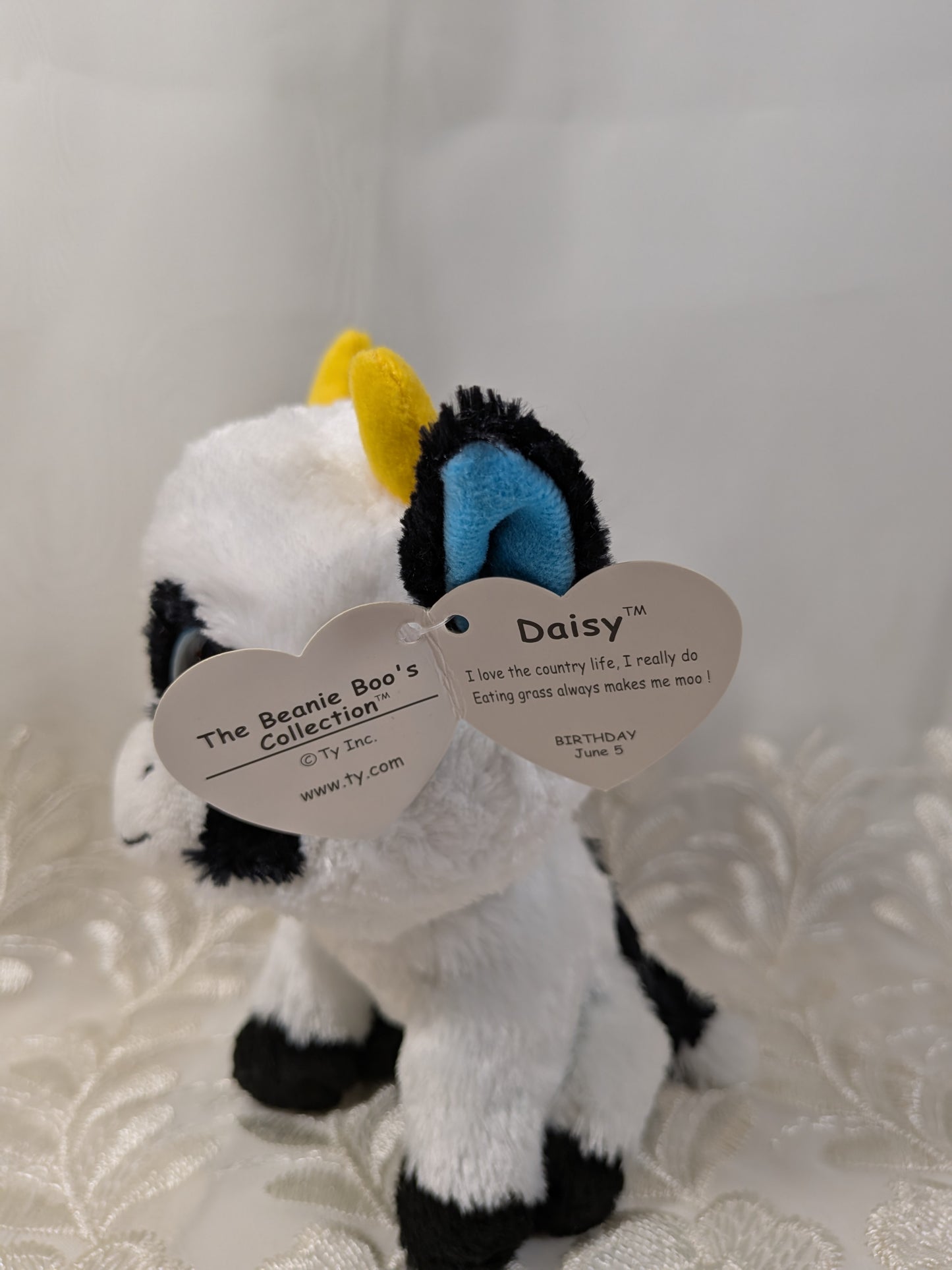 Ty Beanie Boo - Daisy the Cow (6in) *Rare* First Generation, Purple Tag
