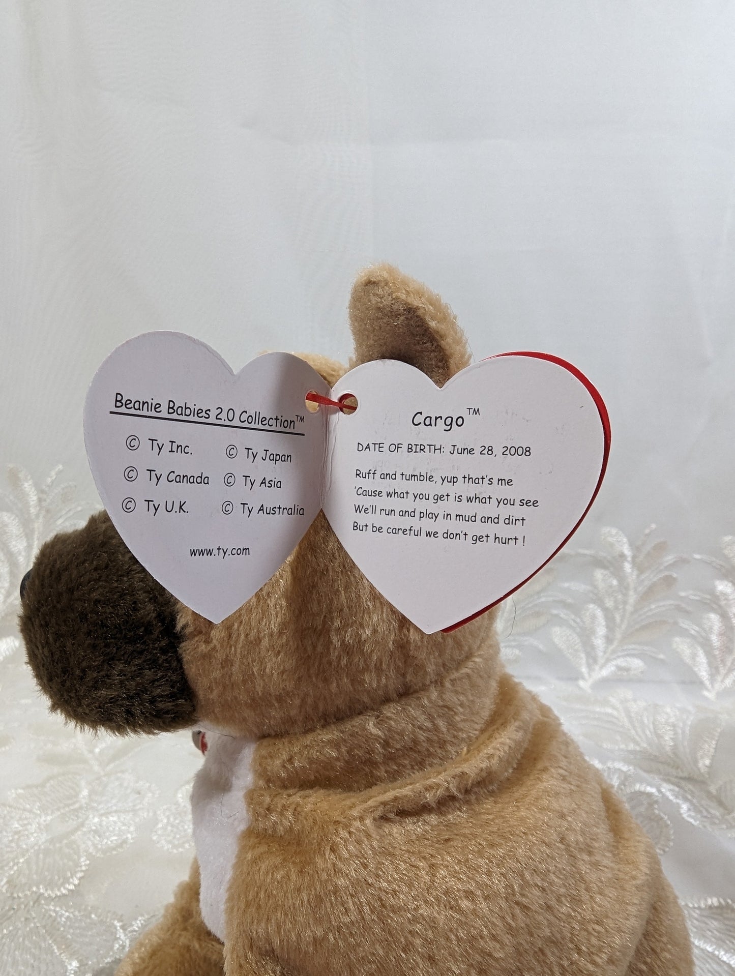 Ty Beanie Baby 2.0 - Cargo The Bulldog (6in) - Vintage Beanies Canada