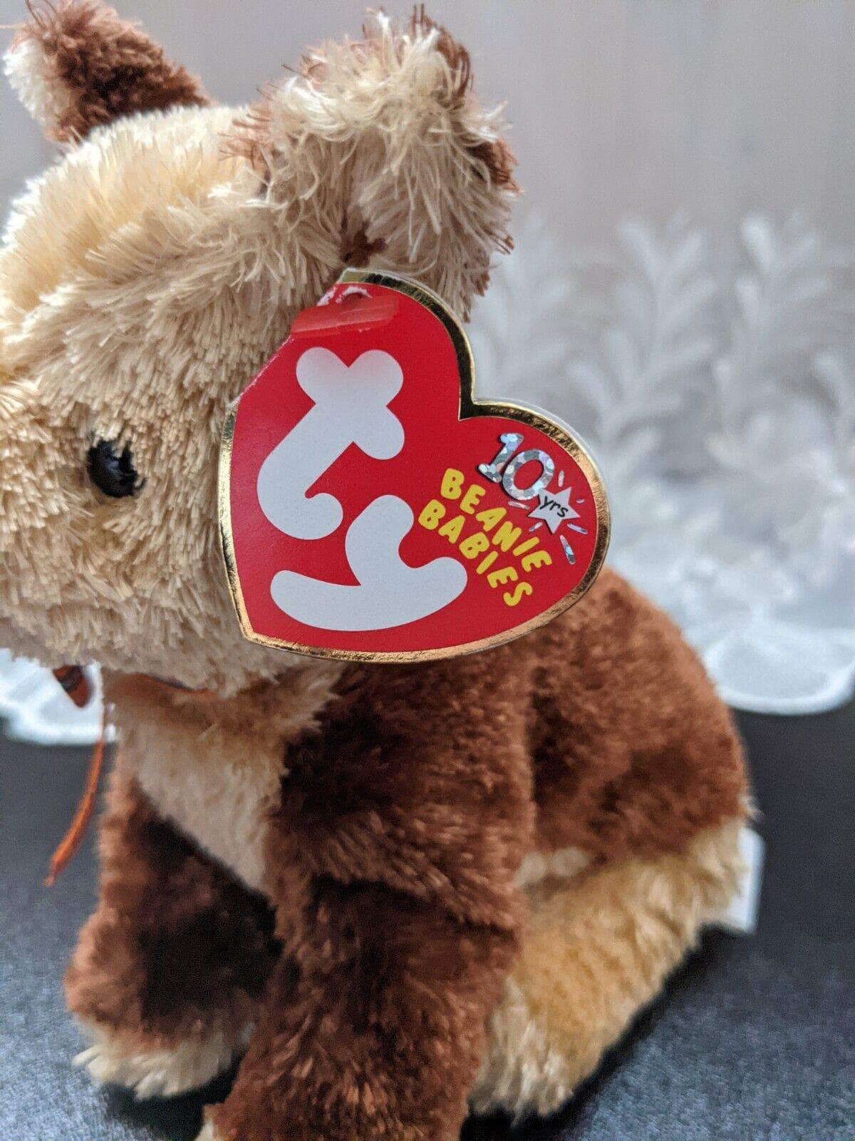 TY Beanie Baby - Fidget The Dog (5.5in) - Vintage Beanies Canada