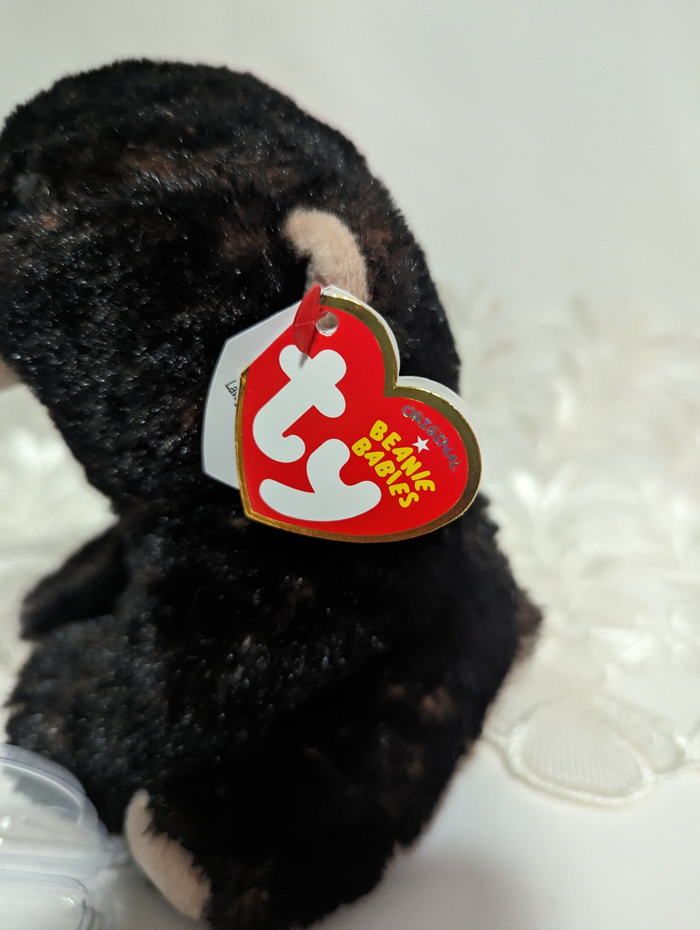 Ty Beanie Baby - Kodi The Black Bear (6in) - Vintage Beanies Canada
