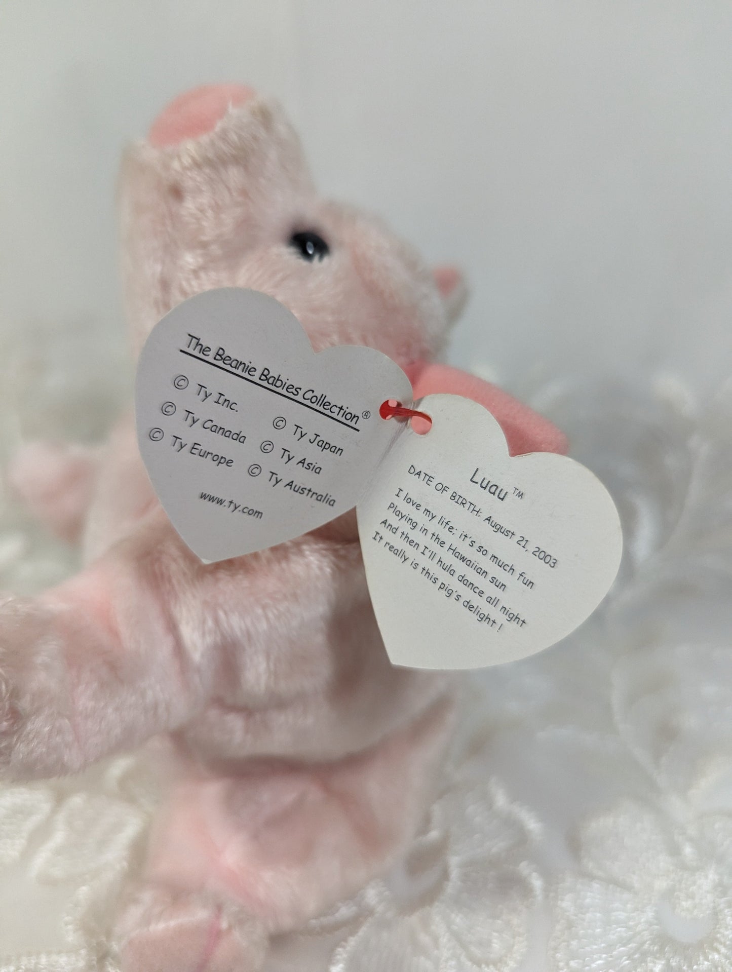 Ty Beanie Baby - Luau The Pig (6in) *Rare* Near Mint - Vintage Beanies Canada