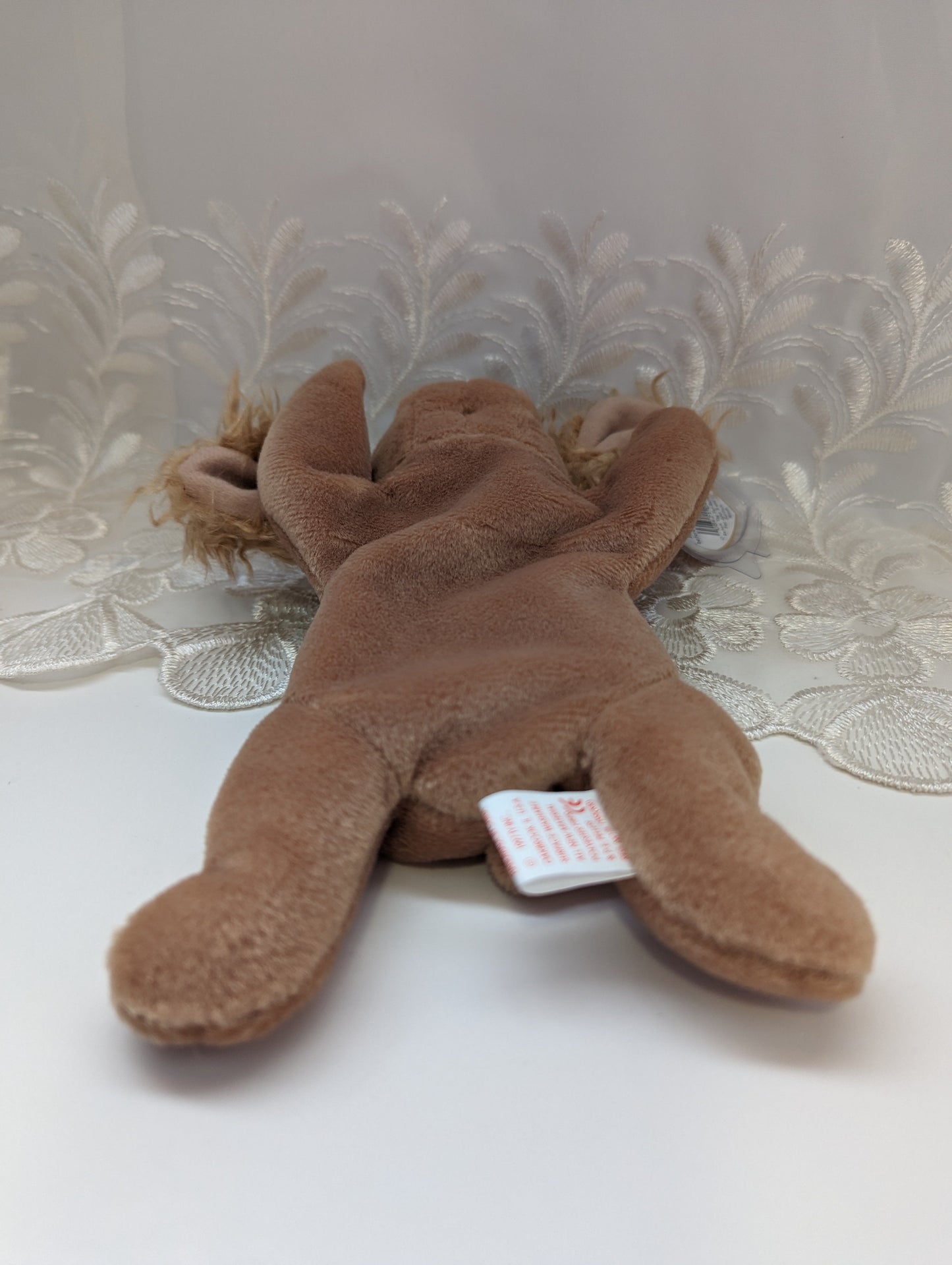 Ty Beanie Baby - Spunky The Cocker Spaniel Dog (8in) - Vintage Beanies Canada