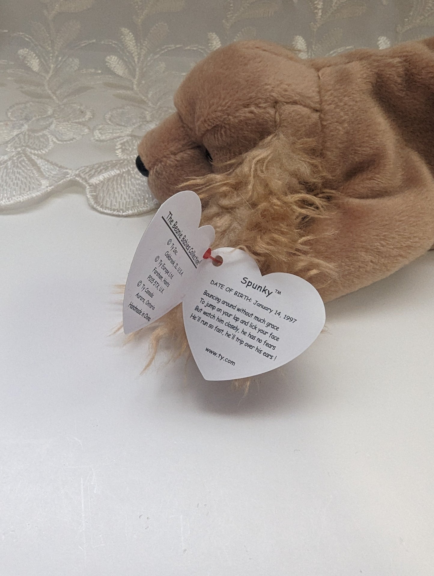 Ty Beanie Baby - Spunky The Cocker Spaniel Dog (8in) - Vintage Beanies Canada