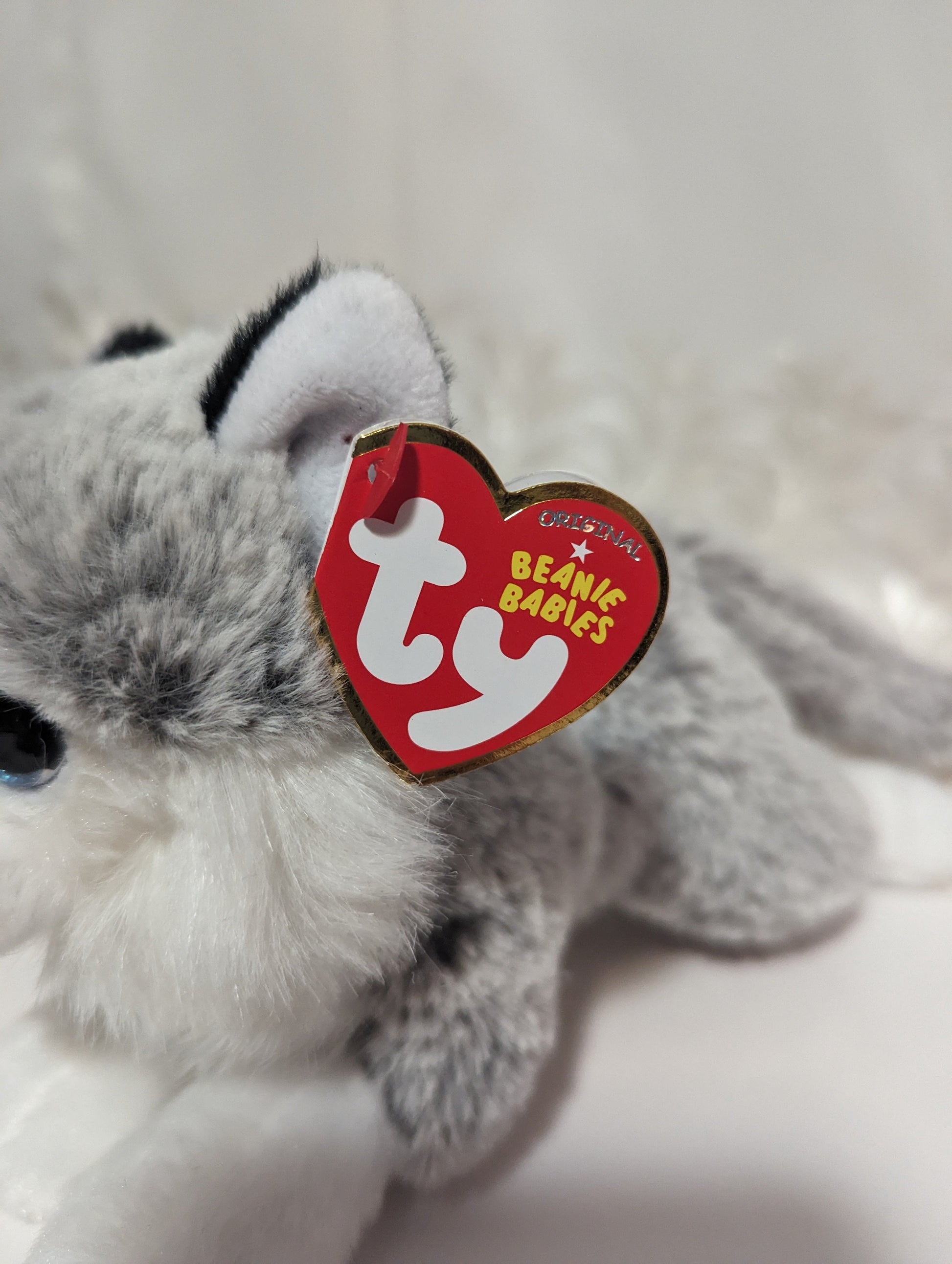 Ty Beanie Baby - Baltic The Husky (6in) - Vintage Beanies Canada