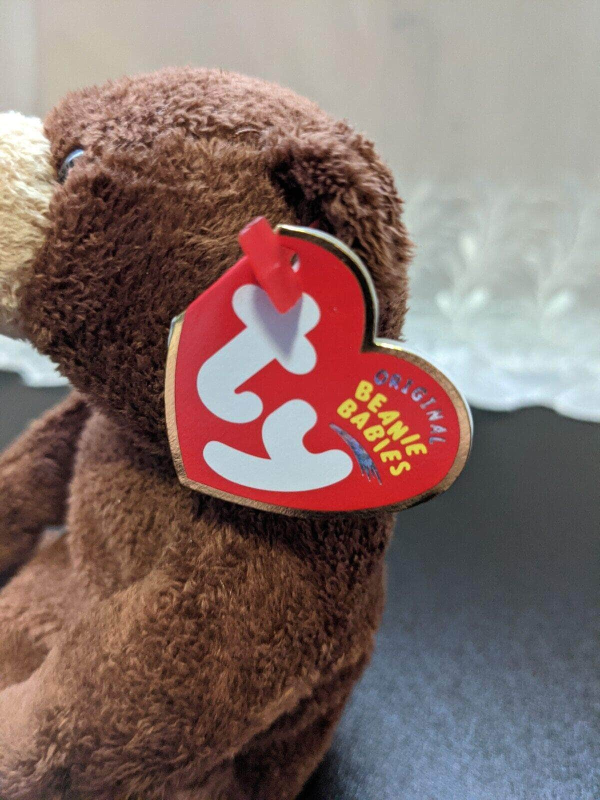 TY Beanie Baby - Bixby the brown Bear (8in) - Vintage Beanies Canada