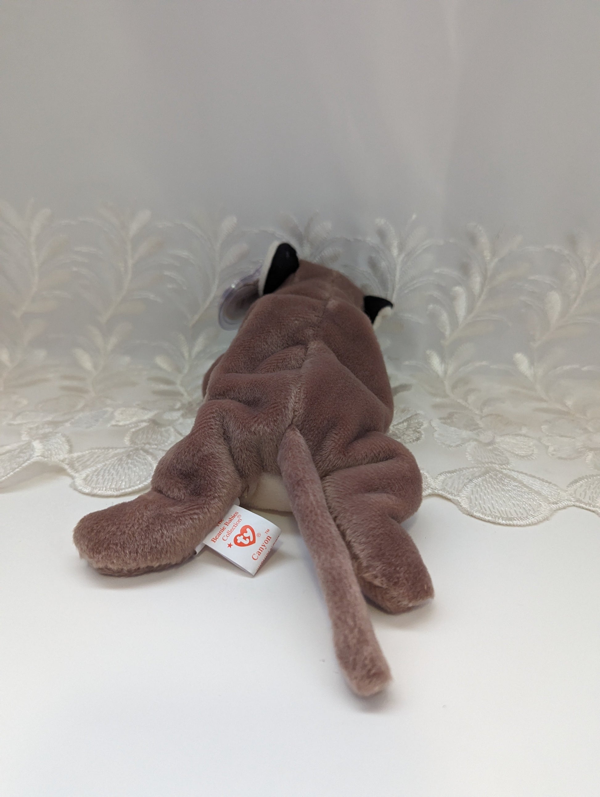 Ty Beanie Baby - Canyon the cougar (8in) - Vintage Beanies Canada