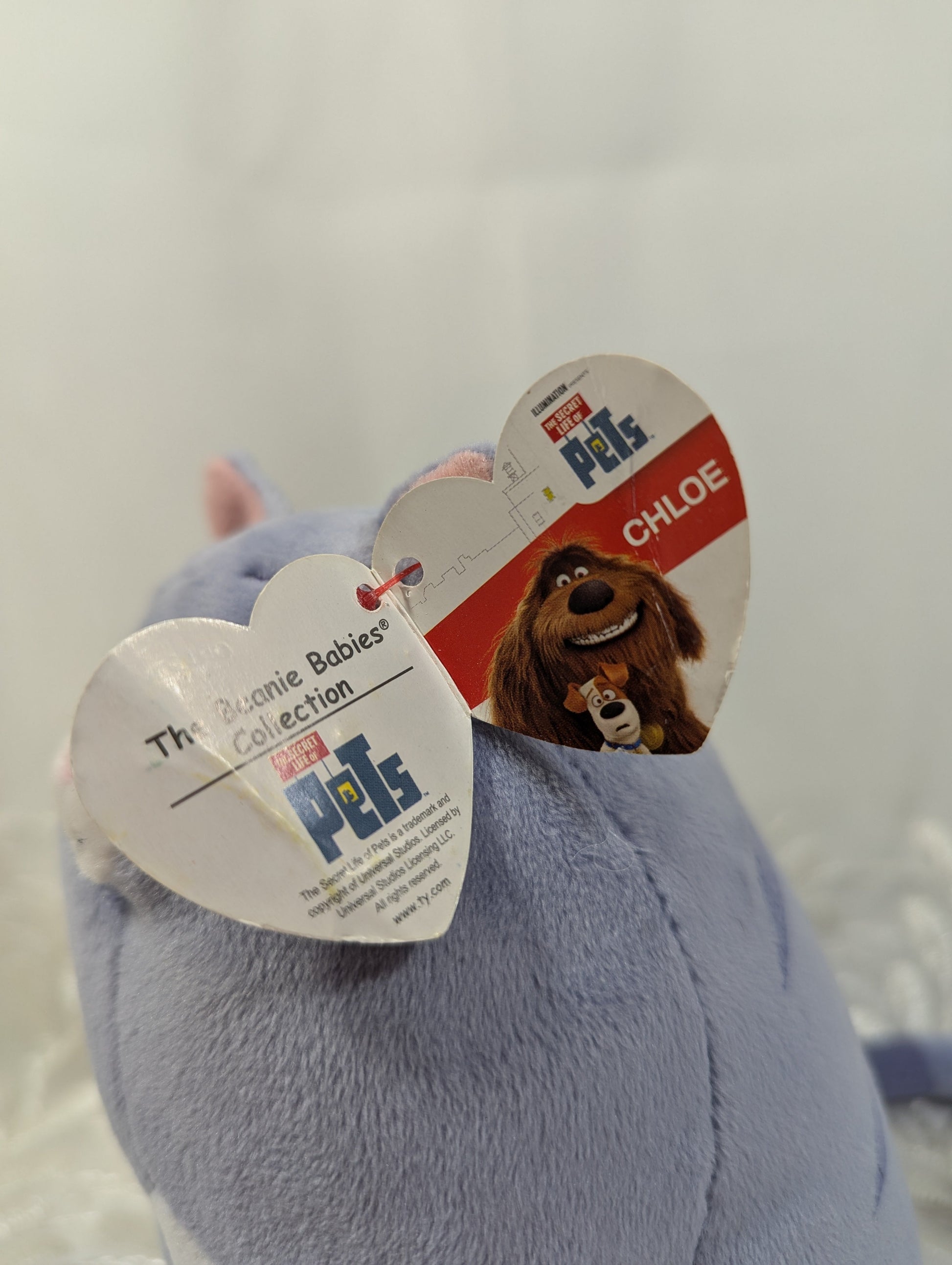 Ty Beanie Baby - Chloe The Cat From The Secret Life Of Pets Movie (6 in) Non - mint Tag - Vintage Beanies Canada