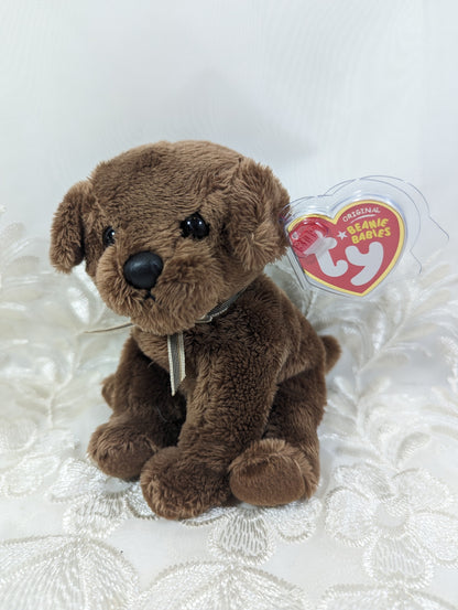 Ty Beanie Baby - Diggidy The Brown Lab Dog (6in) - Vintage Beanies Canada