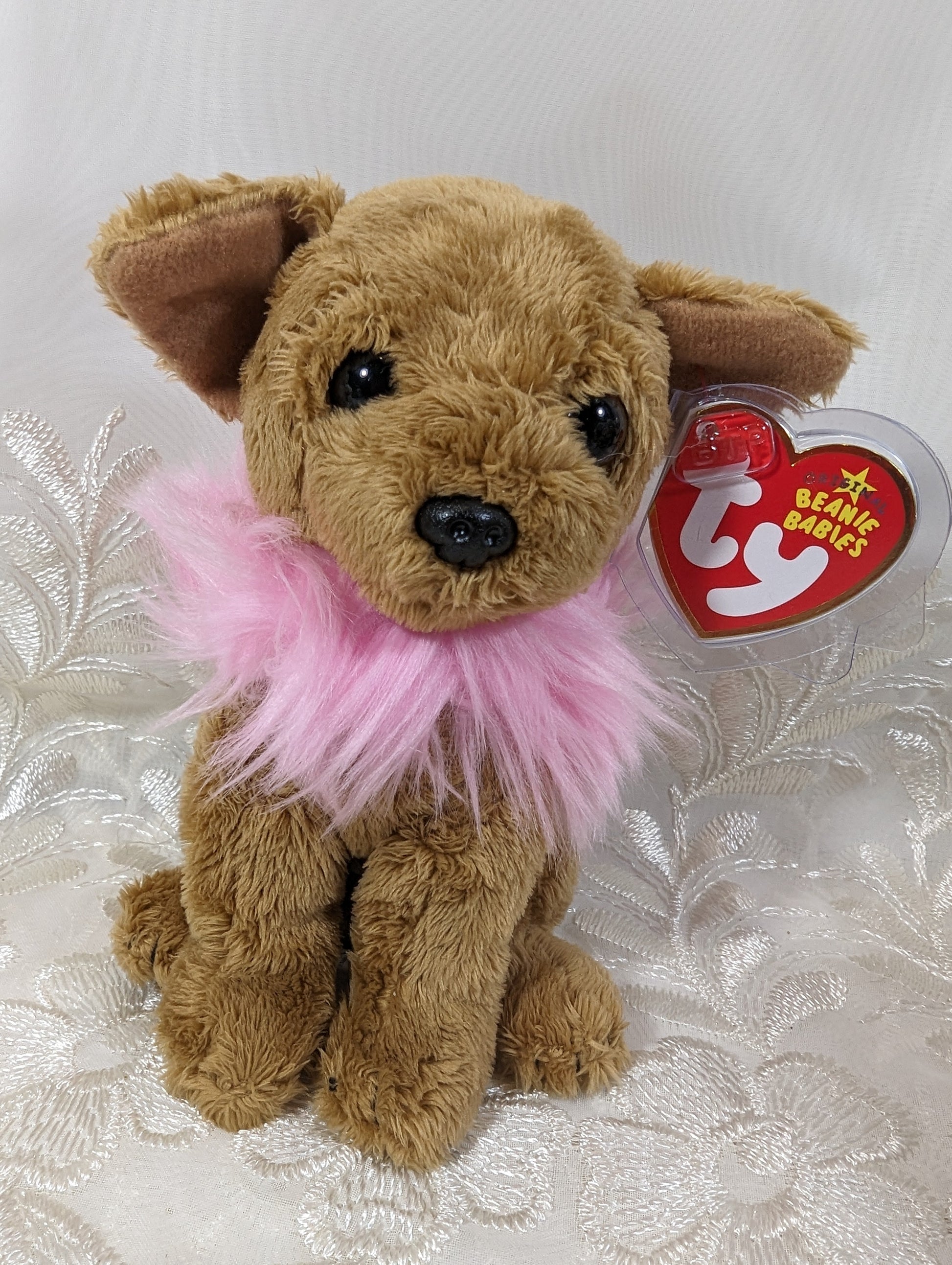 Ty Beanie Baby - Divalectable the Chihuahua Dog (6in) - Vintage Beanies Canada