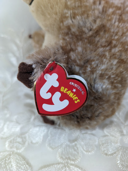 Ty Beanie Baby - Ida the Hedgehog (6in) - Vintage Beanies Canada