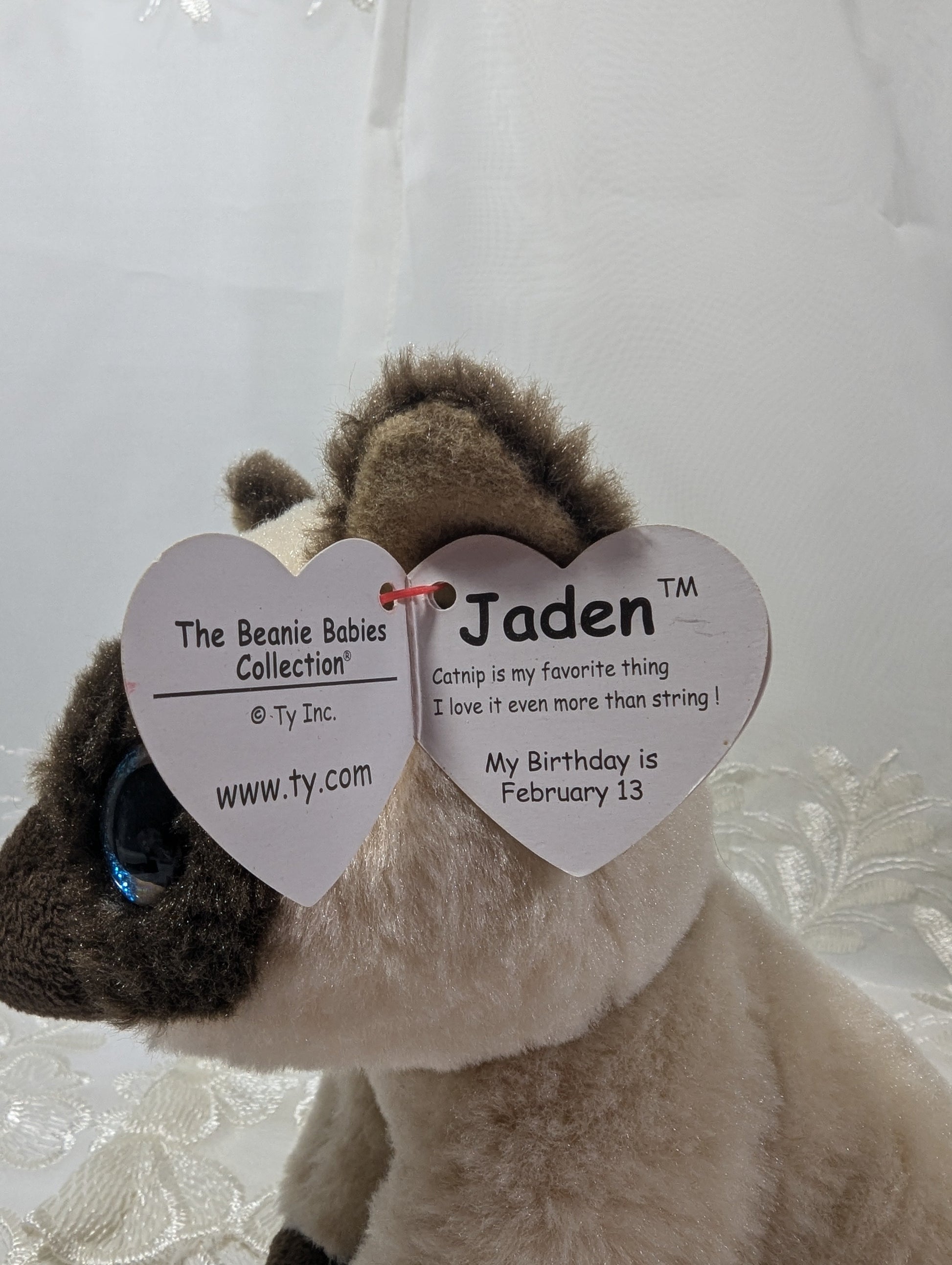 Siamese Cat Nip The Cat Beanie Baby Ty Beanie Baby Jaden The