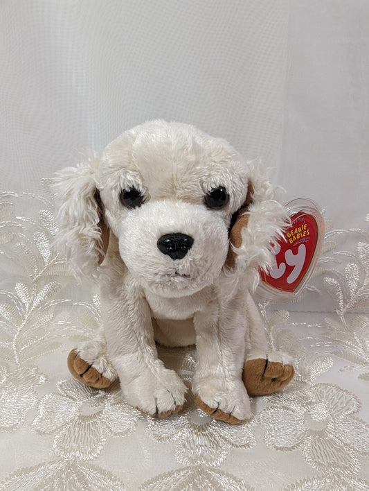 Ty Beanie Baby - Laptop the Cocker Spaniel Dog (6in) - Vintage Beanies Canada