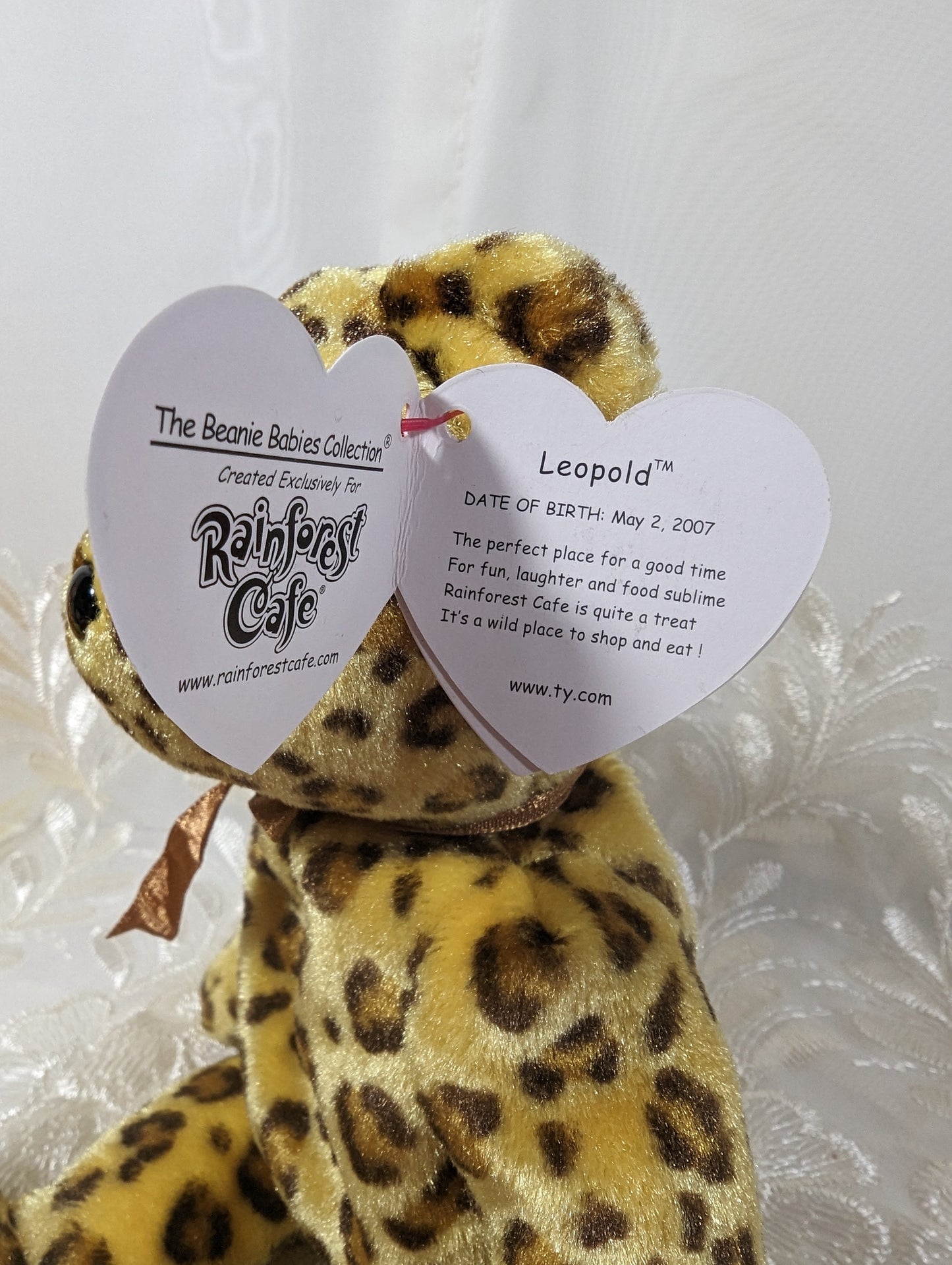 Ty Beanie Baby - Leopold The Bear Rainforest Cafe Exclusive (9in) - Vintage Beanies Canada