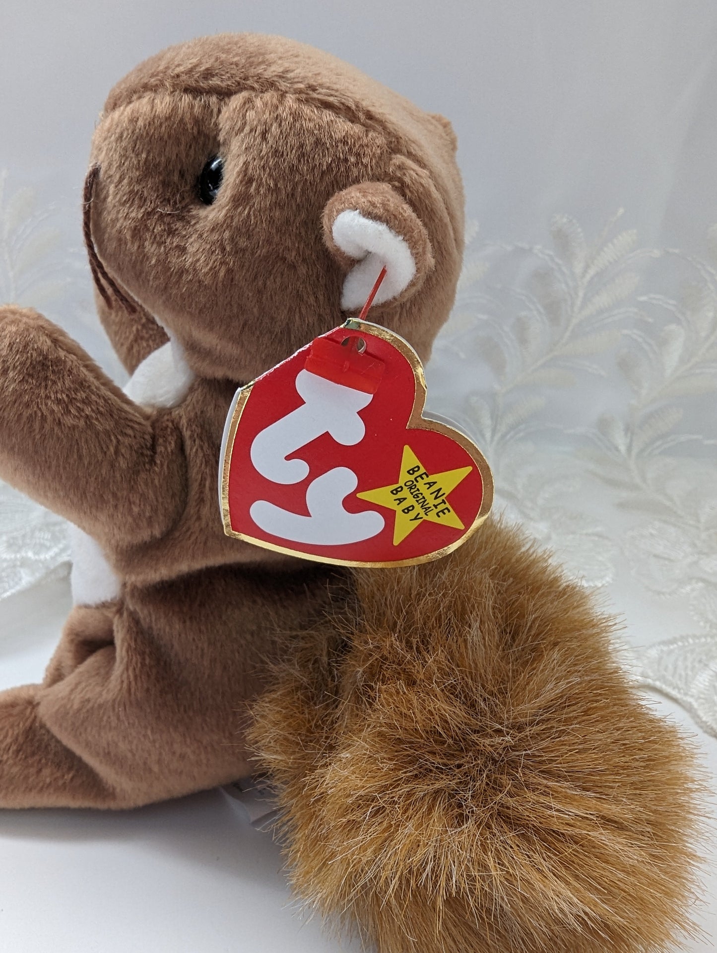 Ty Beanie Baby - Nuts The Squirrel (6in) - Vintage Beanies Canada