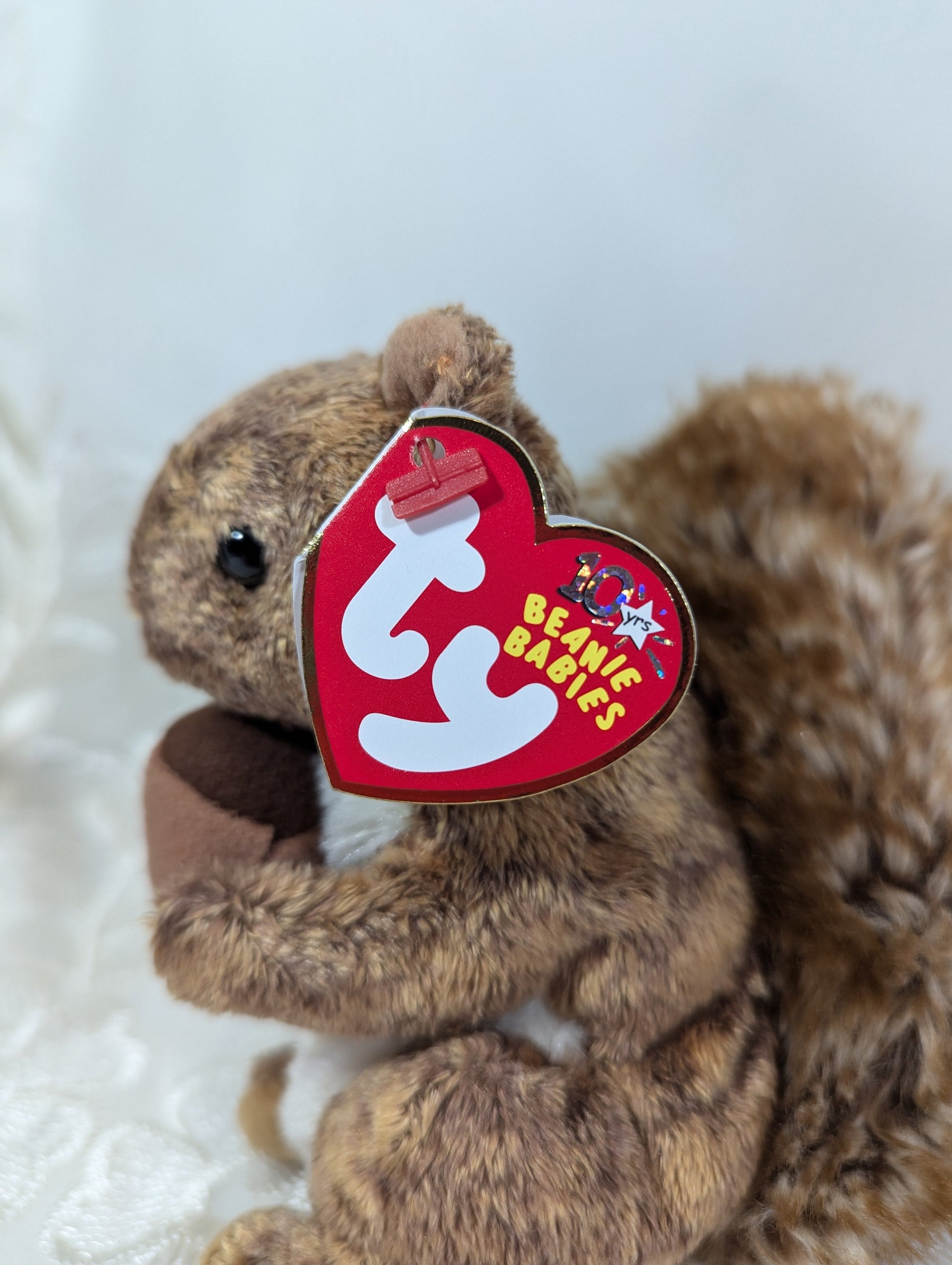 Ty Beanie Baby - Nutty The Squirrel Holding Nut (5in) - Vintage Beanies Canada