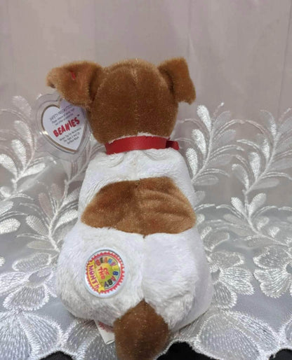 TY Beanie Baby Of The Month - Kippy The Dog - September 2003 (6in) - Vintage Beanies Canada