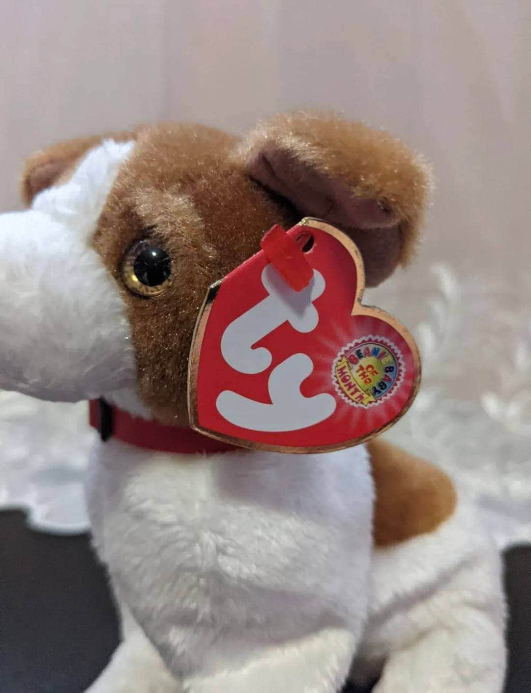 TY Beanie Baby Of The Month - Kippy The Dog - September 2003 (6in) - Vintage Beanies Canada