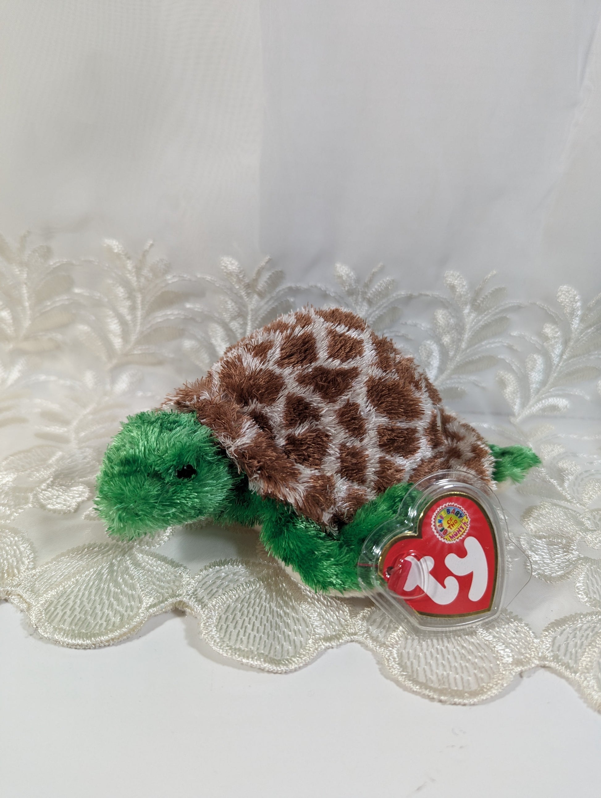 Ty Beanie Baby of the month - Tortuga the Turtle (6in) July 2006 - Vintage Beanies Canada