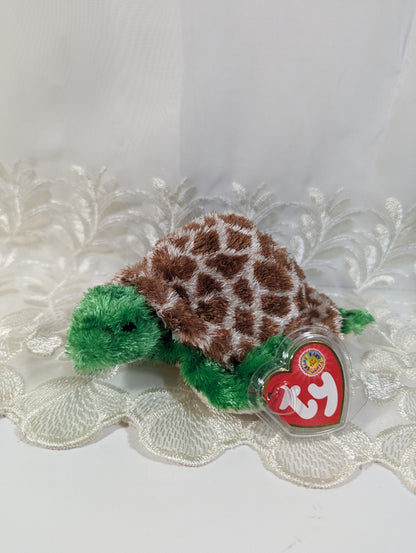 Ty Beanie Baby of the month - Tortuga the Turtle (6in) July 2006 - Vintage Beanies Canada