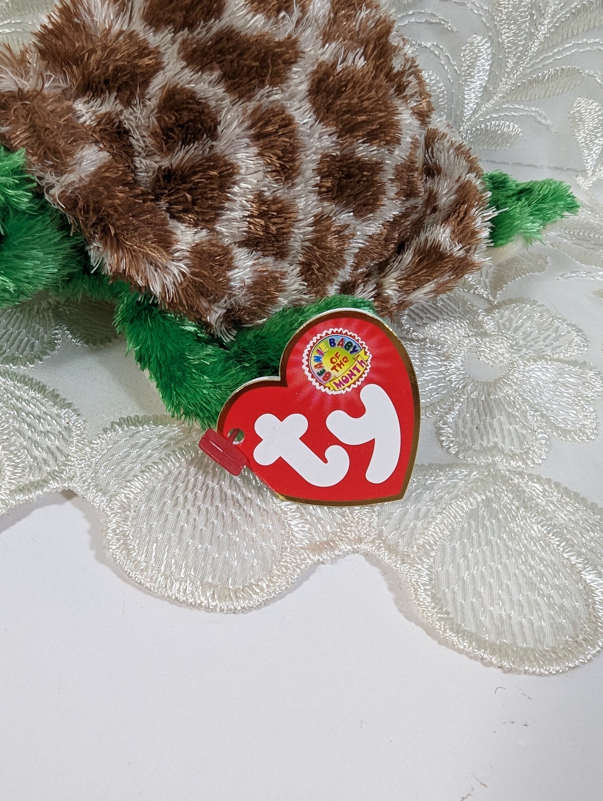 Ty Beanie Baby of the month - Tortuga the Turtle (6in) July 2006 - Vintage Beanies Canada