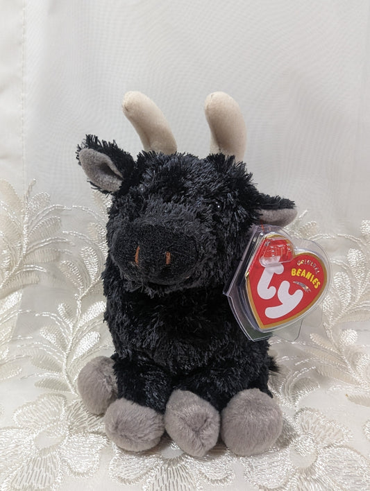 Ty Beanie Baby - Ole the Bull (6 in) Spain Exclusive *Rare* - Vintage Beanies Canada