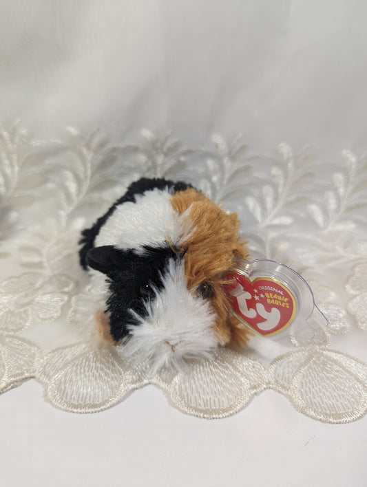 Ty Beanie Baby - Patches The Guinea Pig (5.5 In) Near Mint Tag - Vintage Beanies Canada