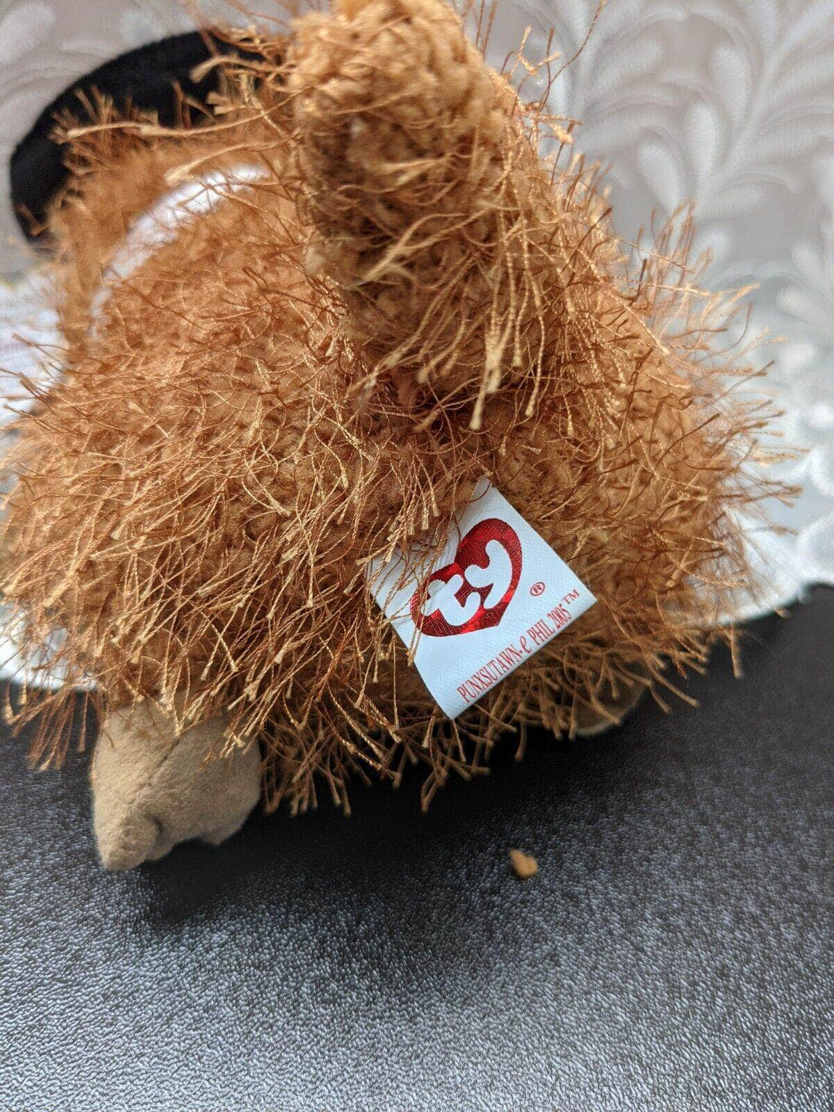 Ty Beanie Baby - Punxsutawn-e 2005 the Groundhog W/ Hat (6.5in) Internet Exclusive - Vintage Beanies Canada