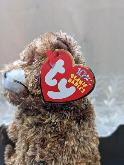 Ty Beanie Baby - Punxsutawn-e Phil the Groundhog 2002 (6in) - Vintage Beanies Canada