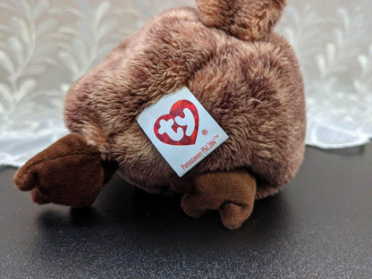 Ty Beanie Baby - PUNXSUTAWNEY PHIL 2004 the Groundhog w/ Top Hat (6.5in) - Vintage Beanies Canada