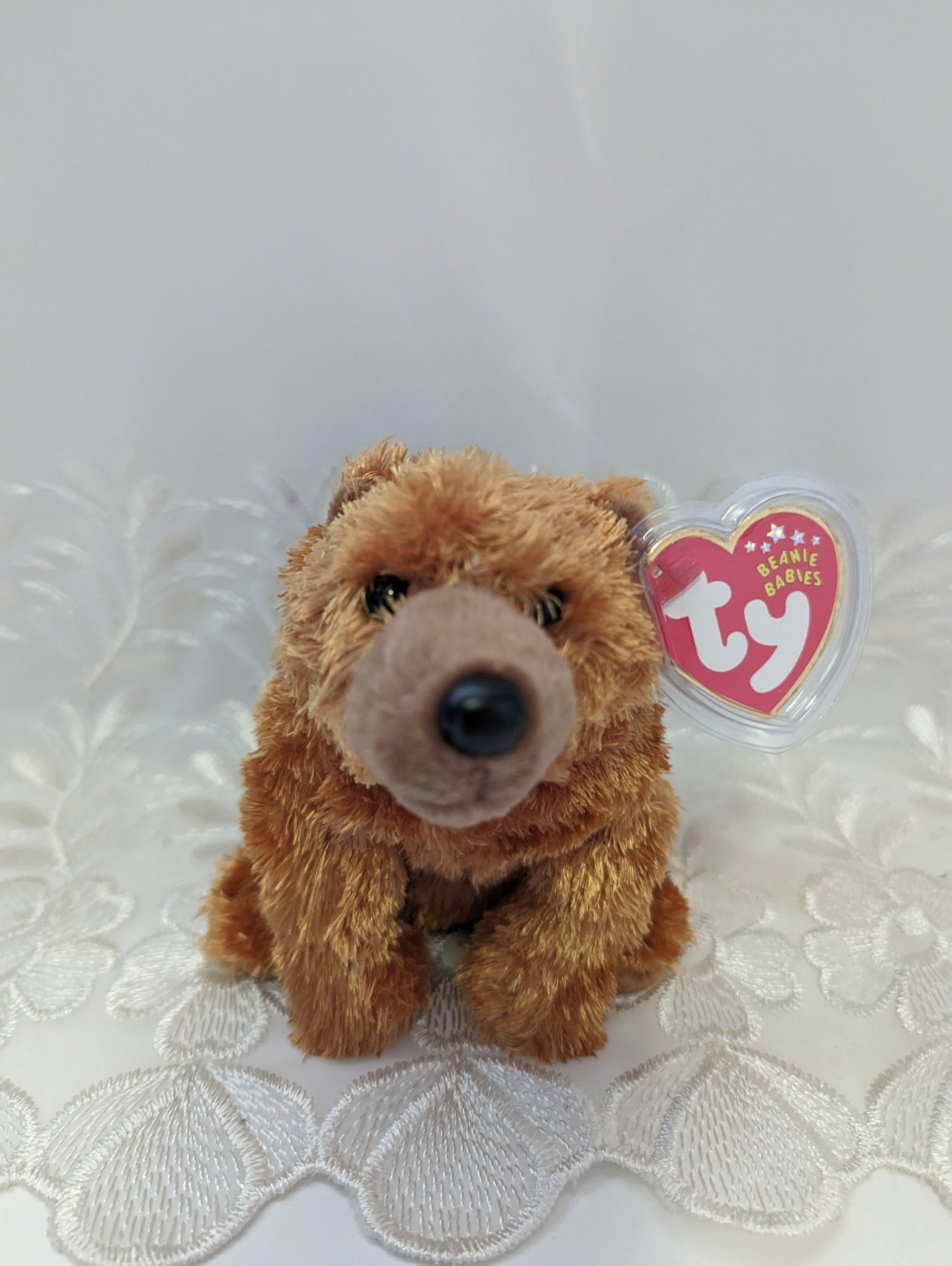 Ty Beanie Baby - Sequoia The Bear (6in) - Vintage Beanies Canada