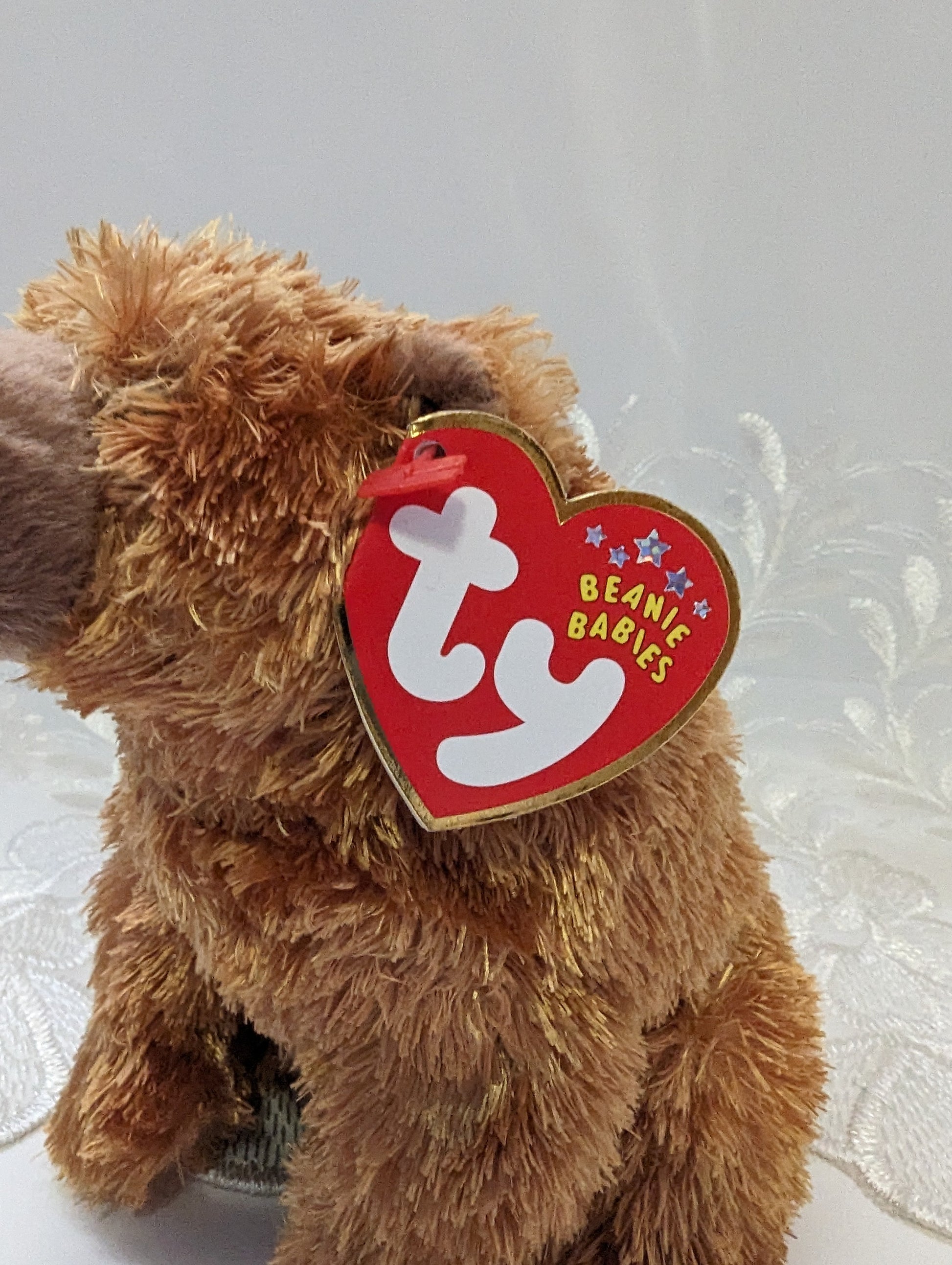 Ty Beanie Baby - Sequoia The Bear (6in) - Vintage Beanies Canada