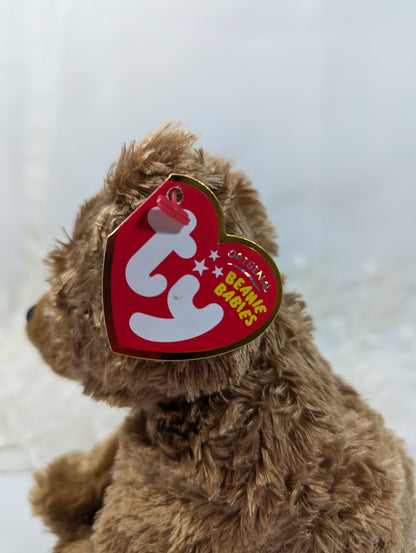 Ty Beanie Baby - Sequoia The Brown Bear (6in) Near Mint Tag - Vintage Beanies Canada