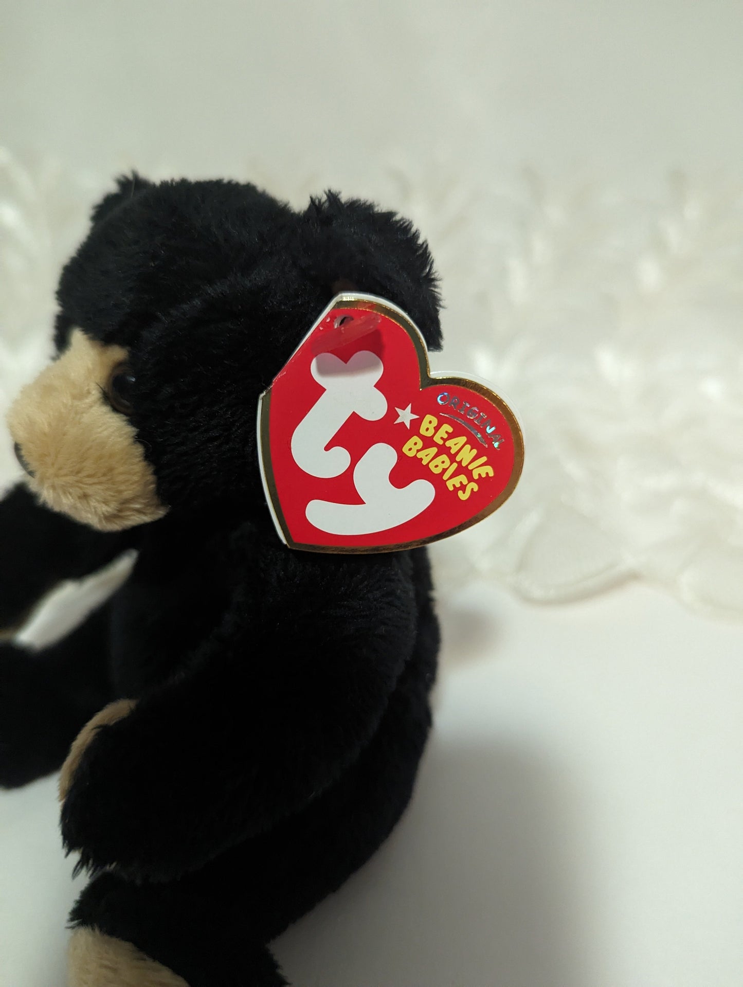 Ty Beanie Baby - Snacks The Adorable Black Bear (5in) - Vintage Beanies Canada