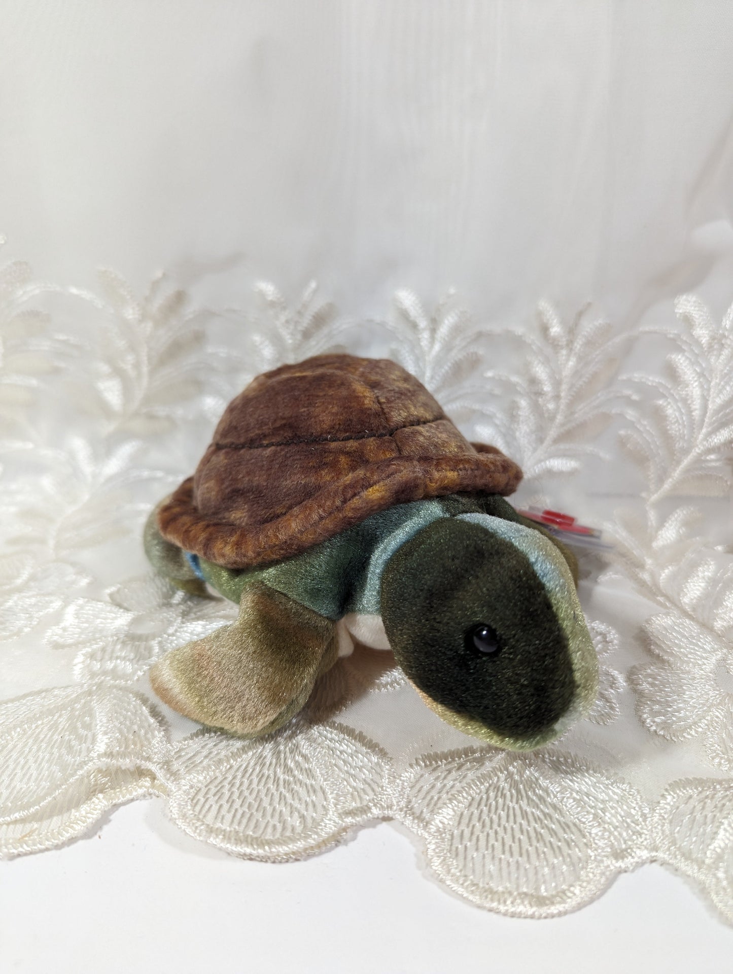 Ty Beanie Baby - Speedster The Turtle (6.5in) - Vintage Beanies Canada