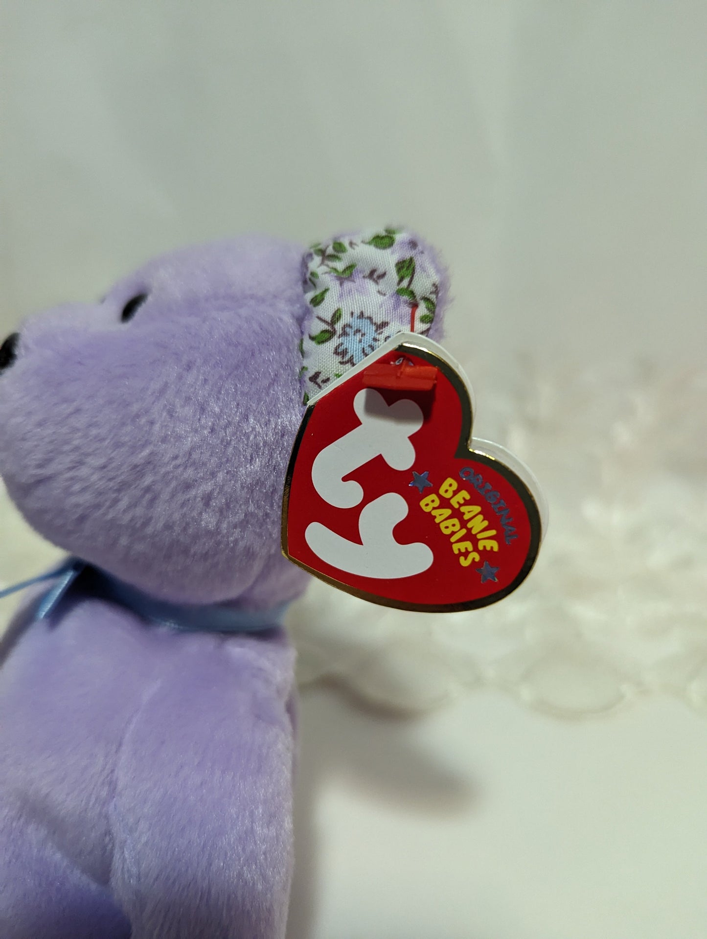 Ty Beanie Baby - Springer The Purple Bear (8.5in) - Vintage Beanies Canada