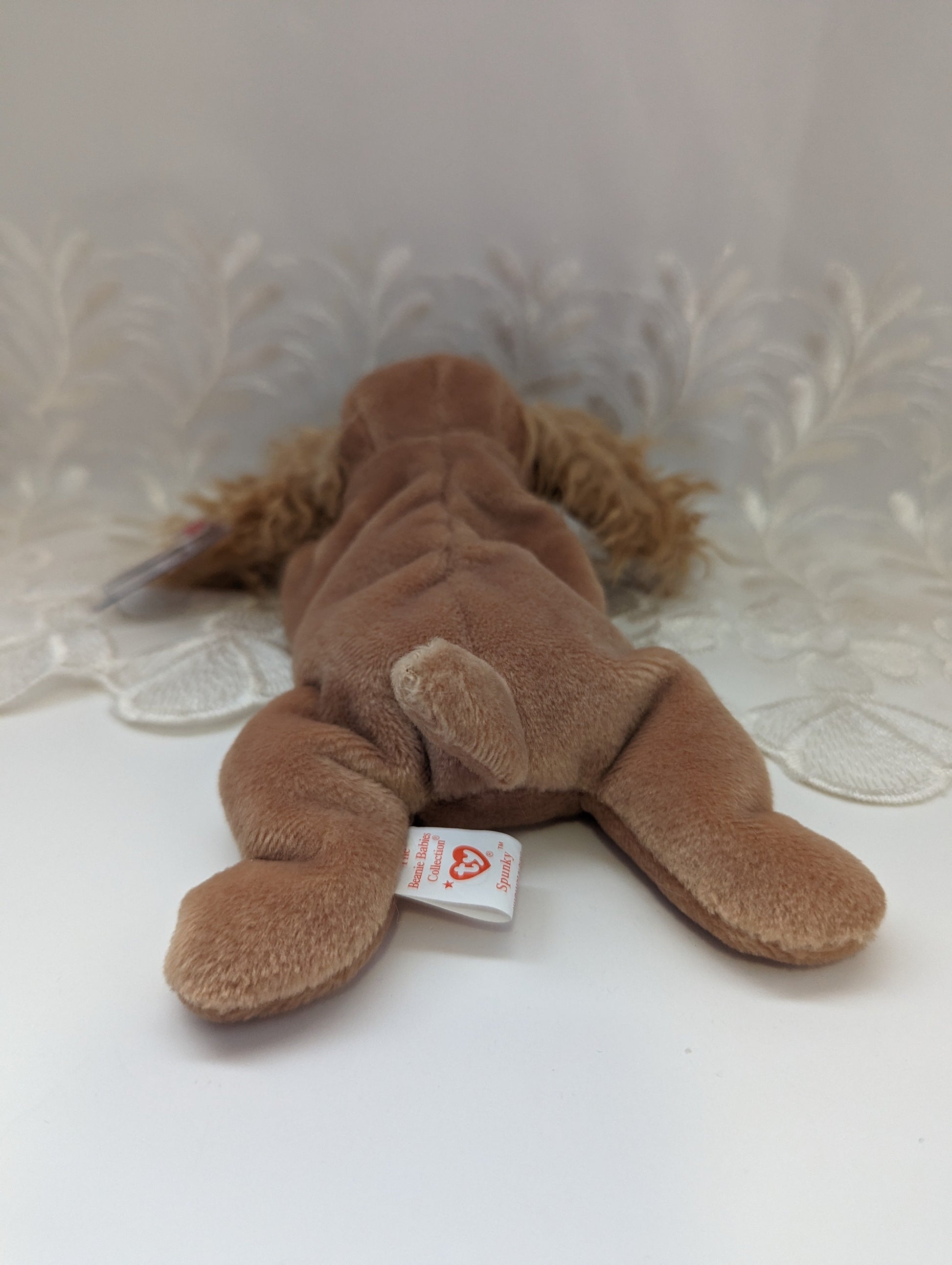 Ty Beanie Baby - Spunky The Cocker Spaniel Dog (8in) - Vintage Beanies Canada