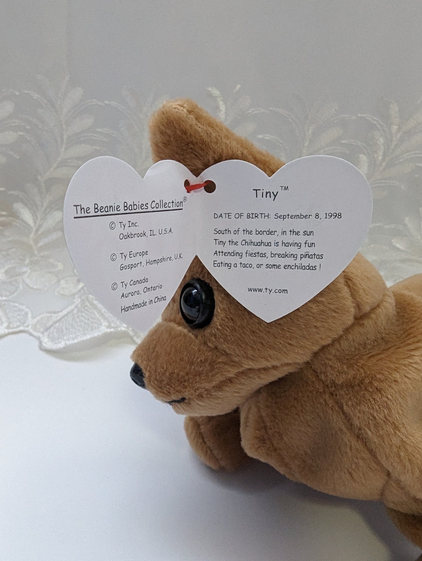 Ty Beanie Baby - Tiny The Brown Chihuahua Dog (6in) - Vintage Beanies Canada