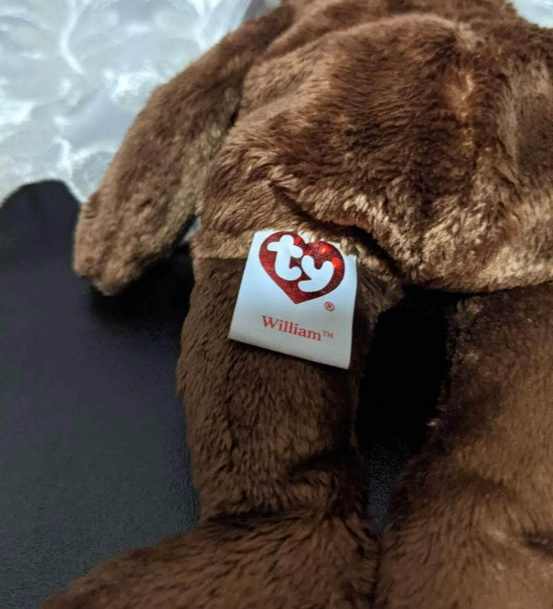 Ty Beanie Baby - William (Closed Book) Brown Bear European exclusive (8.5in) - Vintage Beanies Canada