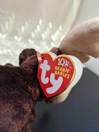 Ty Beanie Baby - Zeus The Moose (6in) - Vintage Beanies Canada