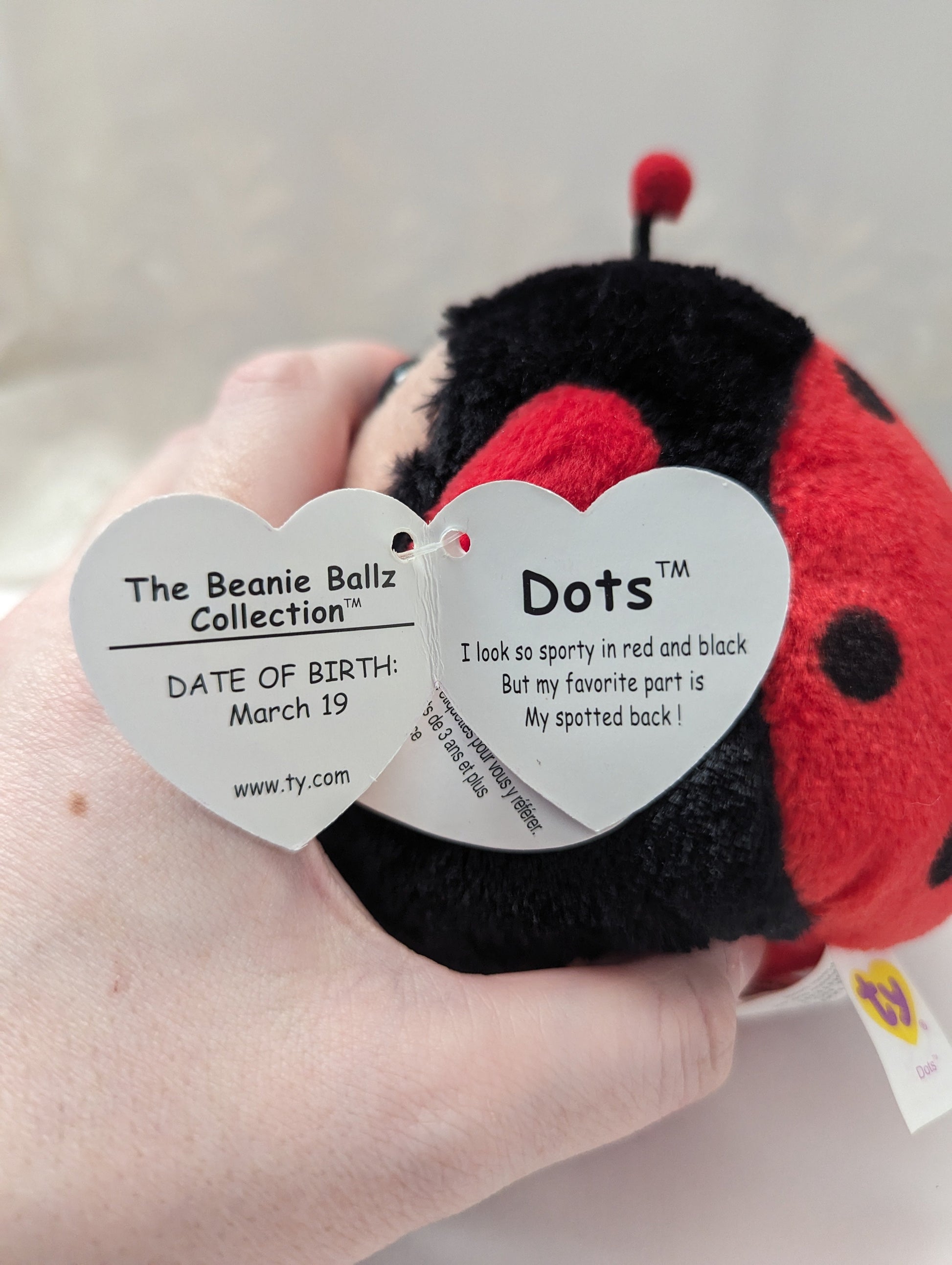 Ty Beanie Ballz - Dots The Ladybug (5.5in) - Vintage Beanies Canada