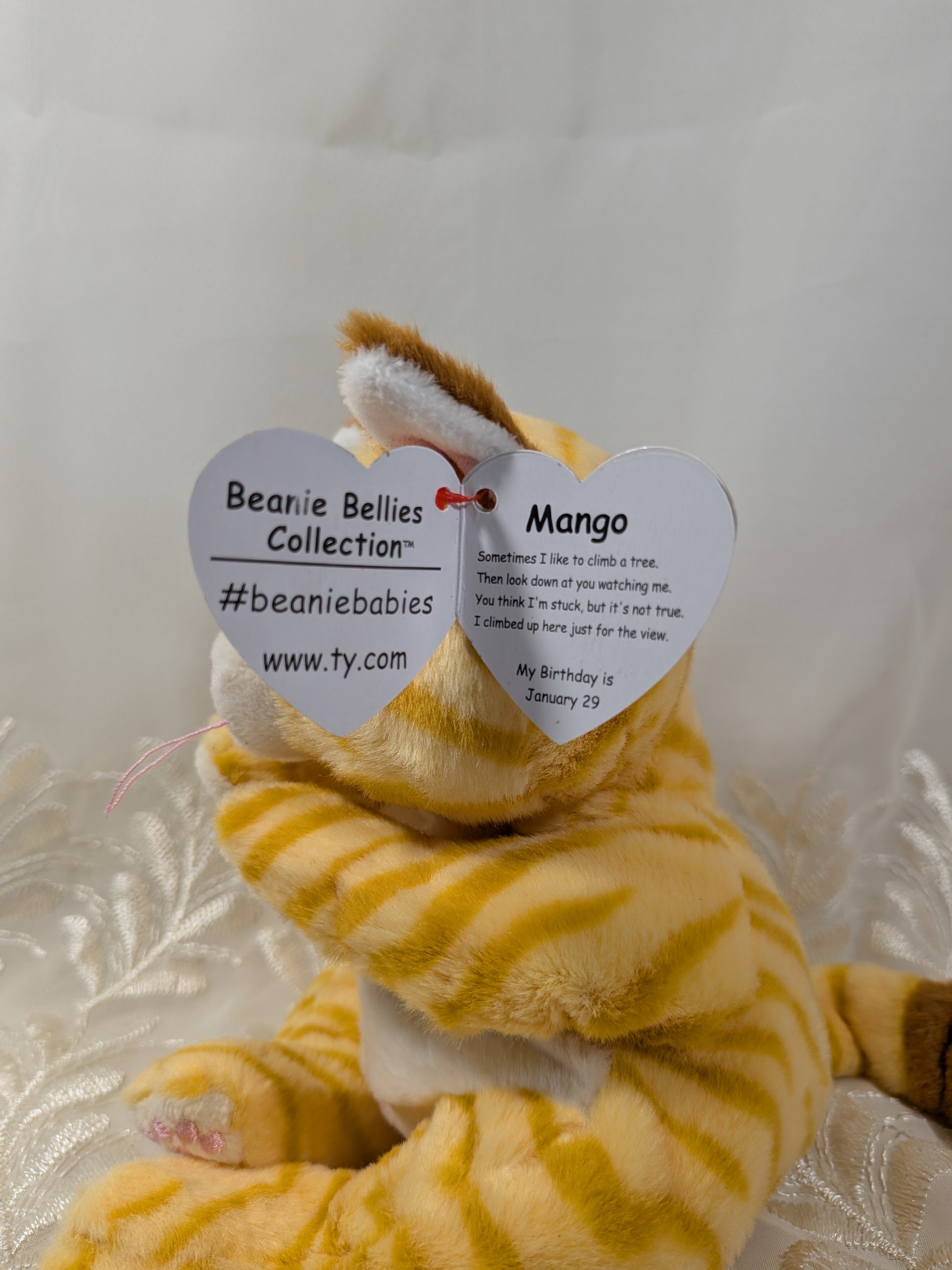 Ty Beanie Bellies - Mango The Orange Tabby Cat (6in) - Vintage Beanies Canada