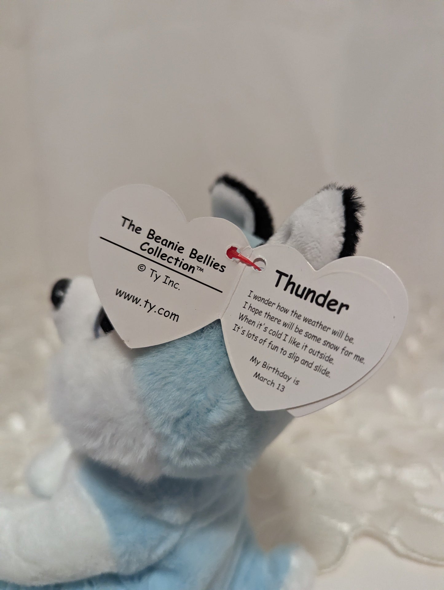 Ty Beanie Bellies - Thunder The Blue Husky Dog (6in) - Vintage Beanies Canada