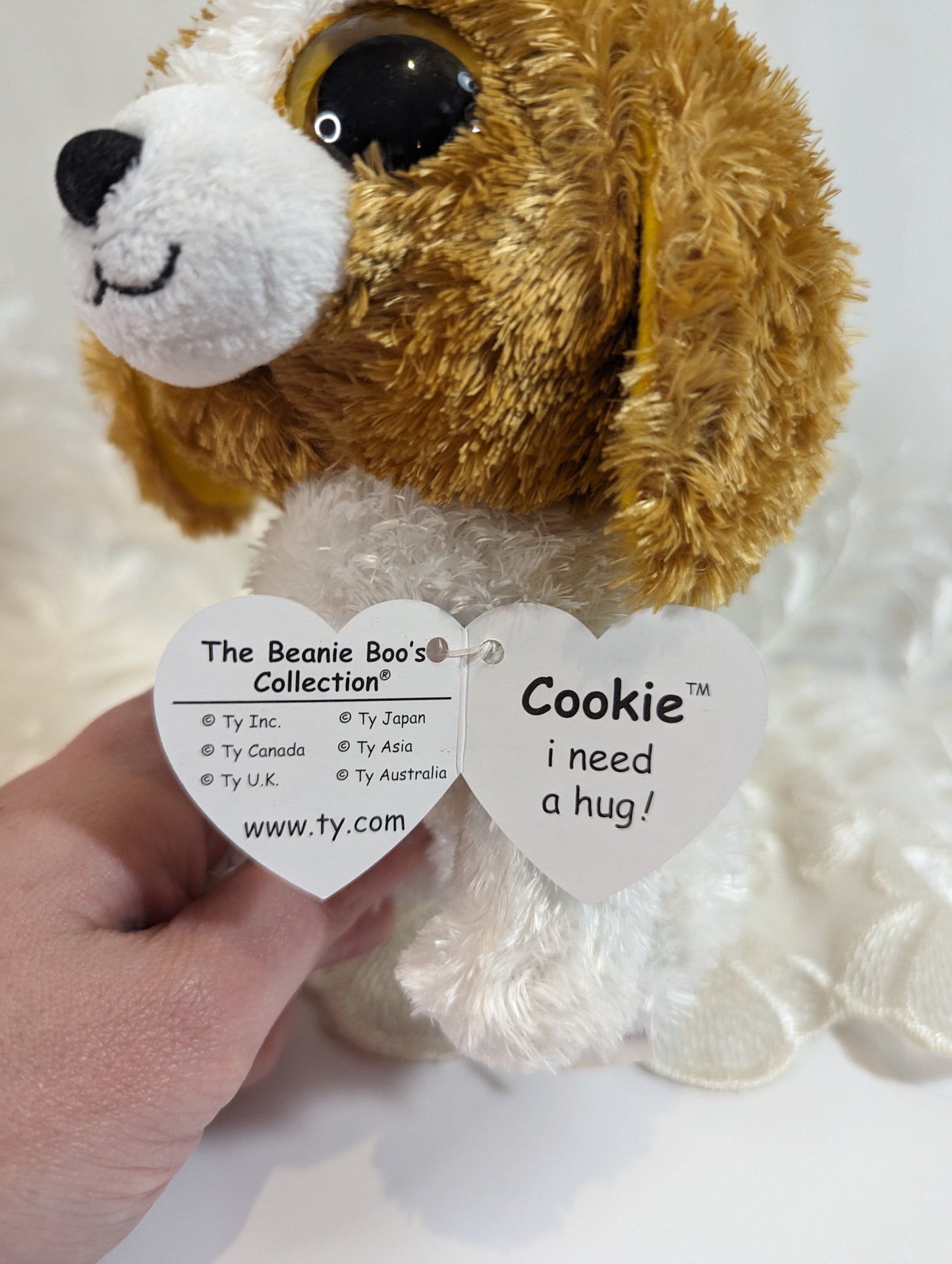 Ty Beanie Boo - Cookie The Dog (6in) *Rare* First Gen, Purple Tag - Vintage Beanies Canada