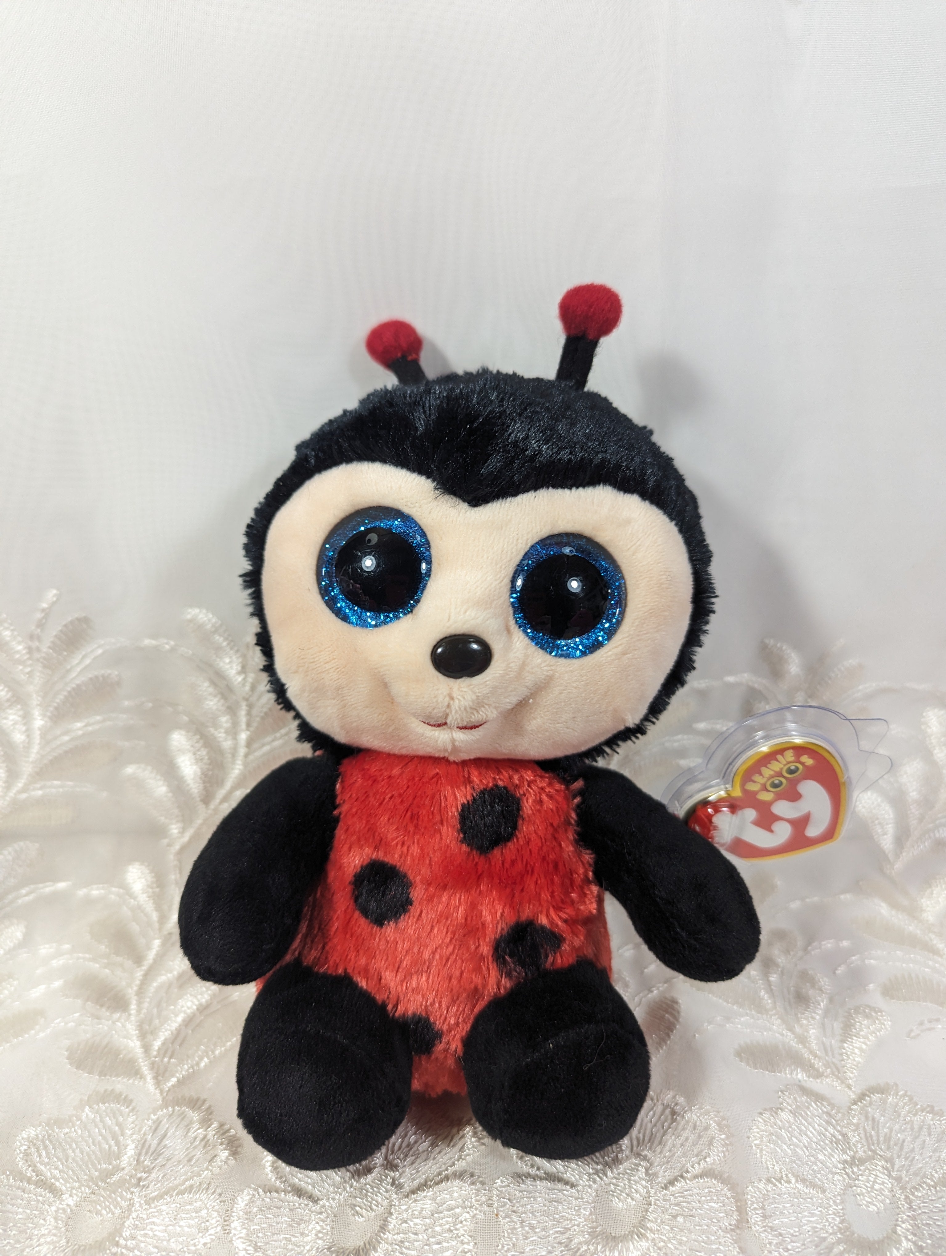 Beanie boos ladybug online