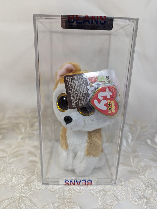 Ty Beanie Boo - Loy the Akita Dog (6in) Japanese exclusive, Authenticated - Vintage Beanies Canada