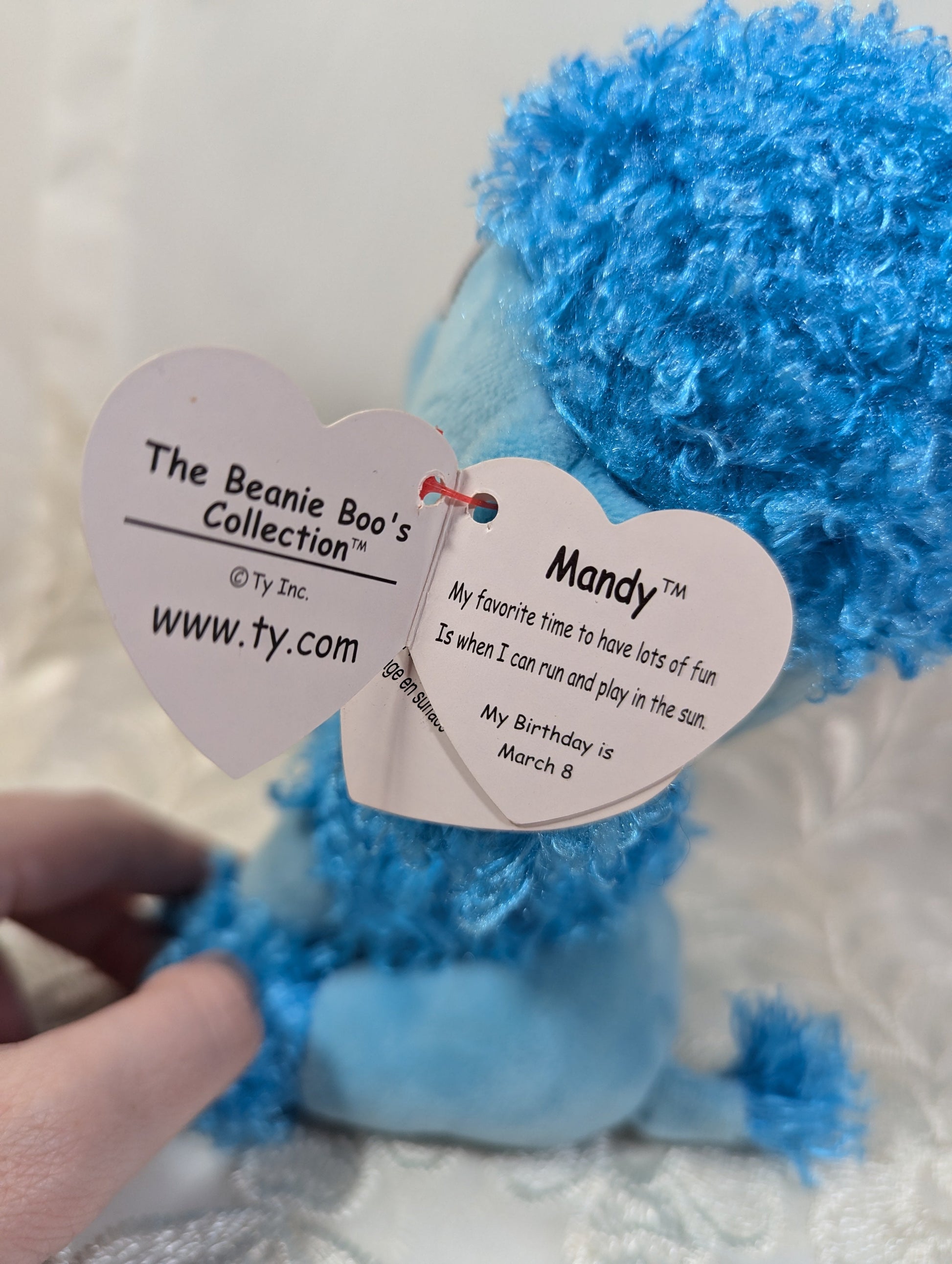 Ty Beanie Boo - Mandy The Blue Poodle (6 in) - Vintage Beanies Canada