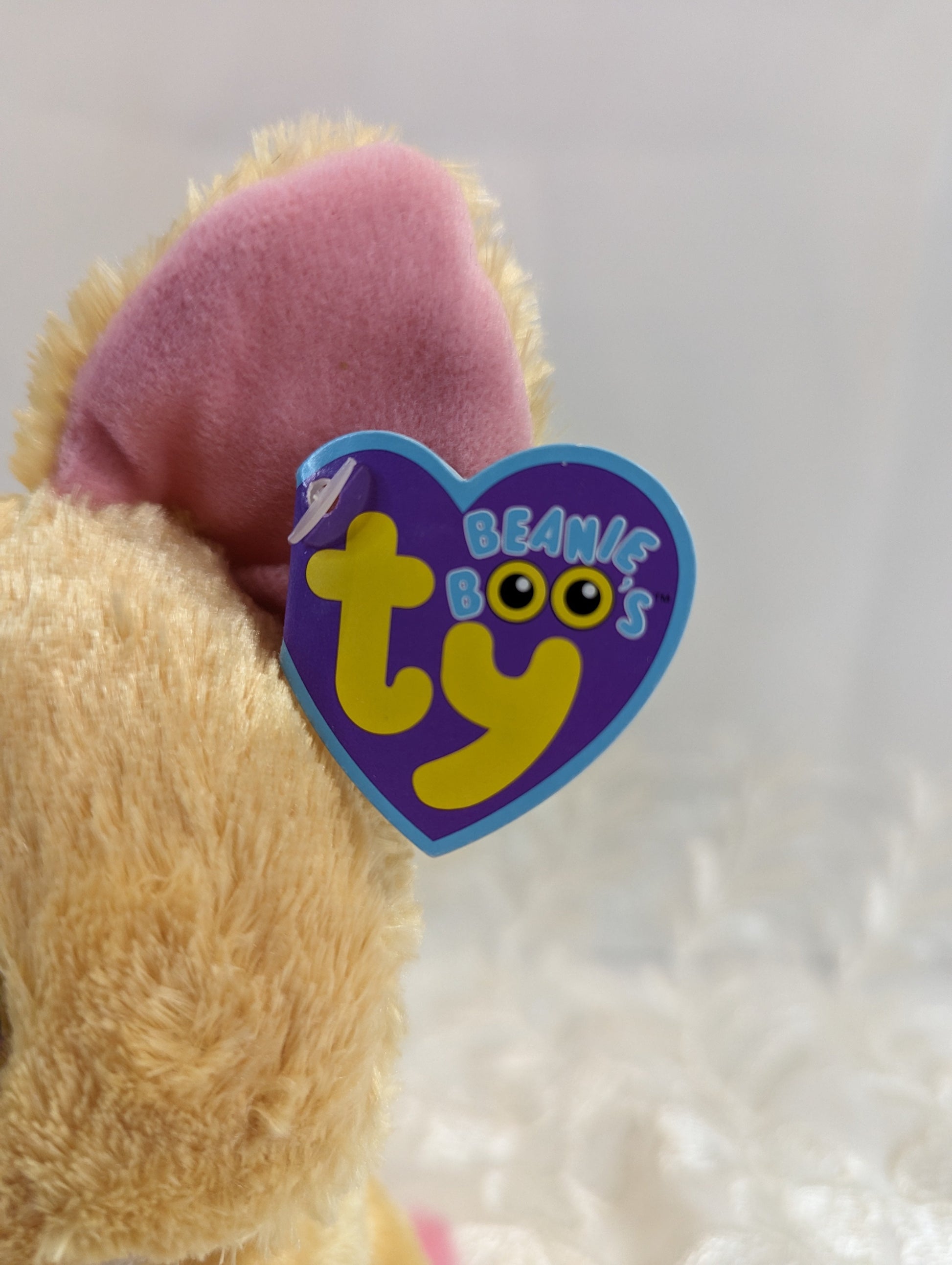 Ty Beanie Boo - Nacho The Chihuahua Dog (6in) First Generation, Purple Tag - Vintage Beanies Canada