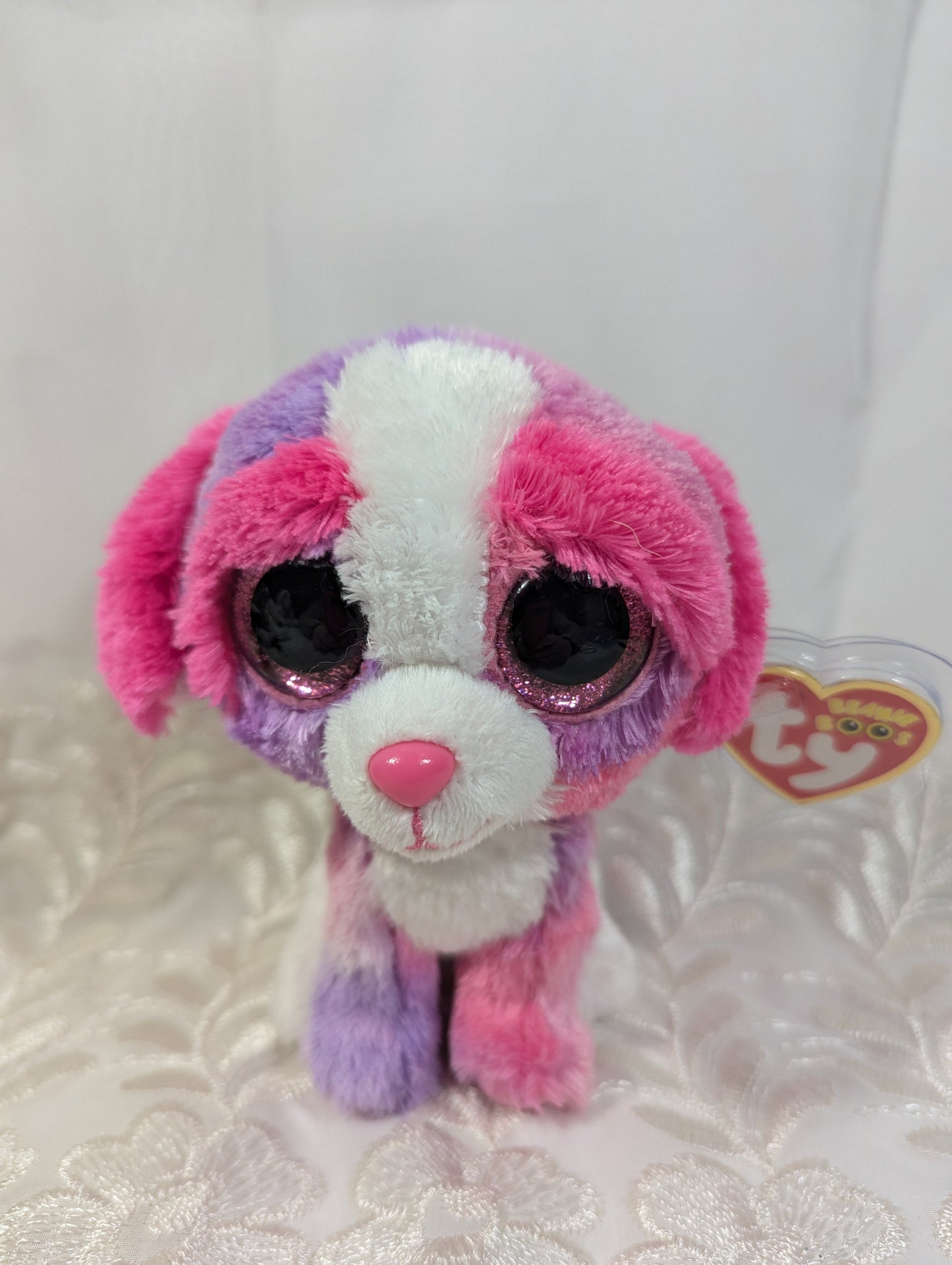 Ty Beanie Boo - Sherbet The Dog (6in) - Vintage Beanies Canada