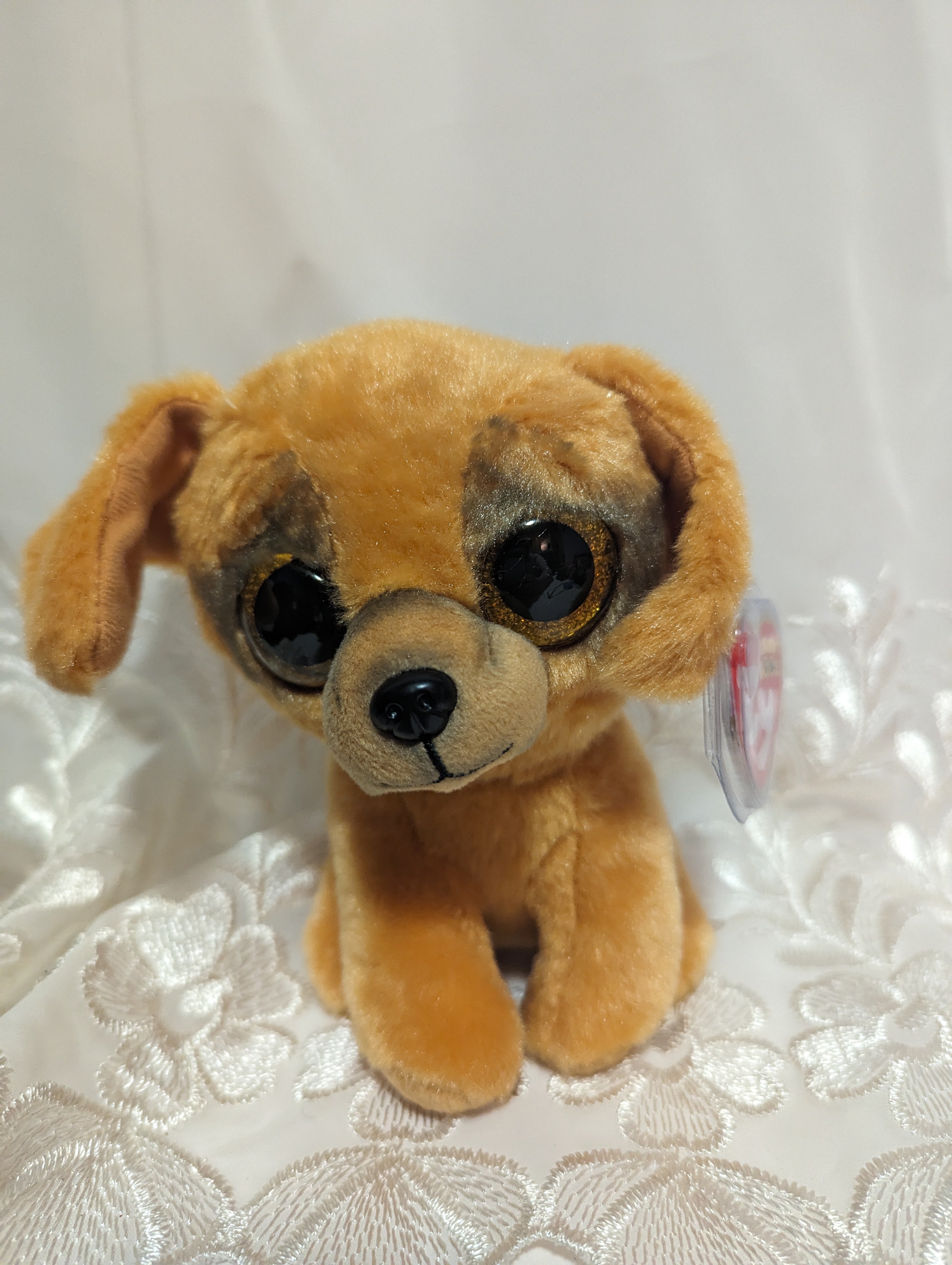 Dougie the dog beanie boo hotsell