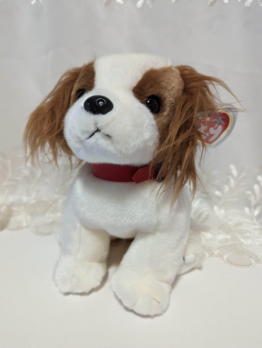 Ty Beanie Buddy - Regal The Cocker Spaniel Dog (10in) Creased tag - Vintage Beanies Canada